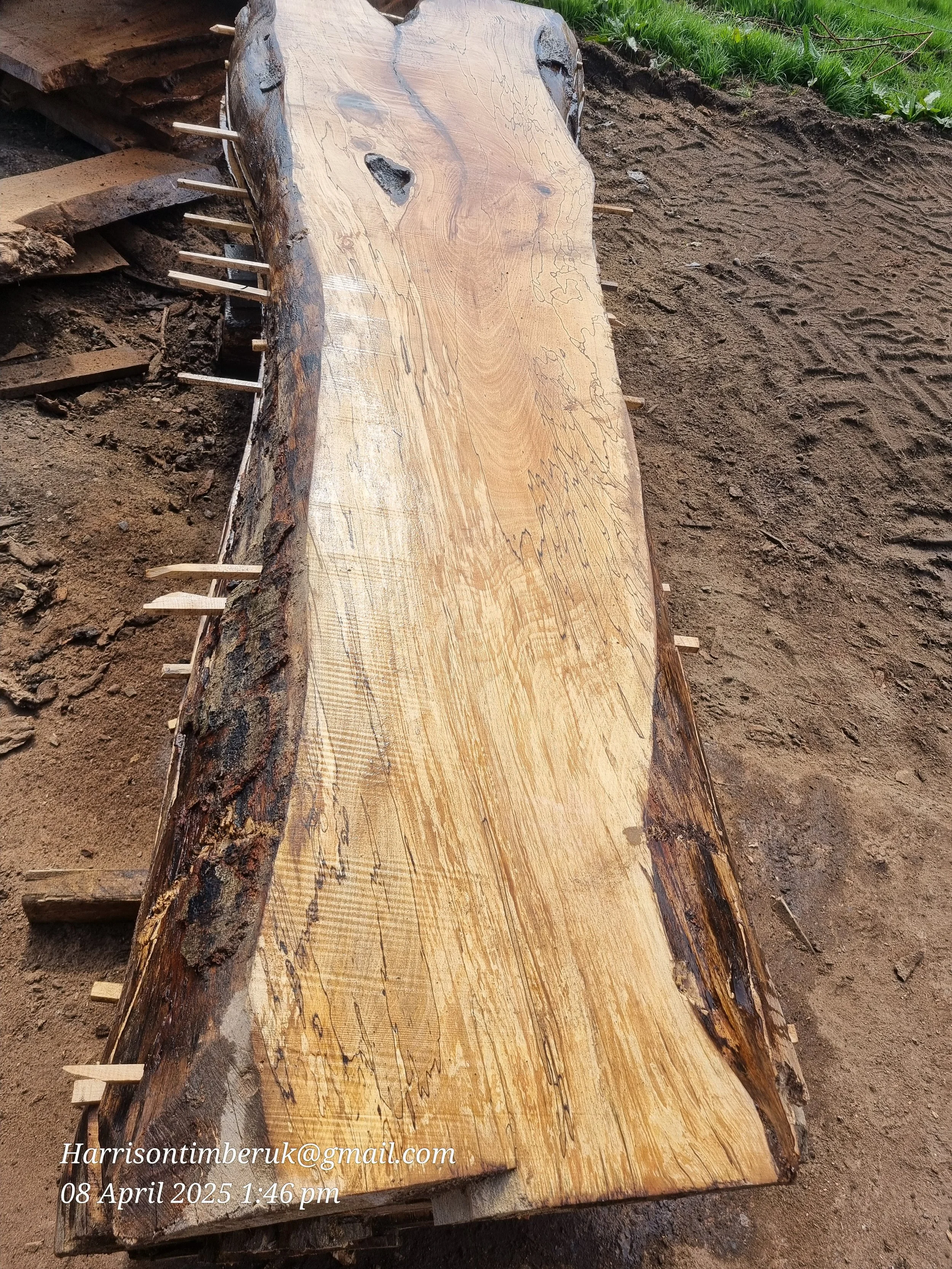 Spalted beech (8).jpg