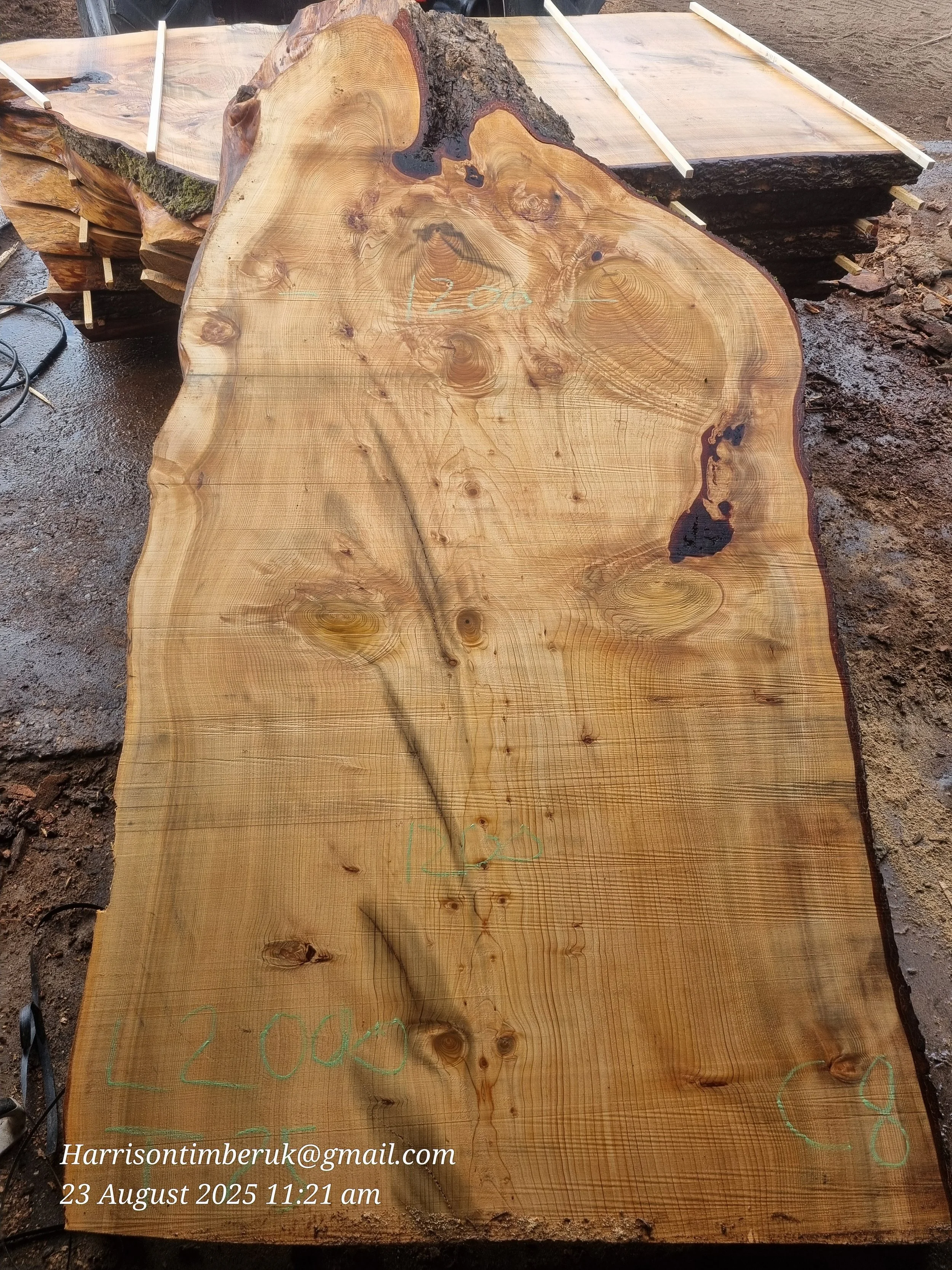 Unusally Looking Cedar Slabs (8).jpg