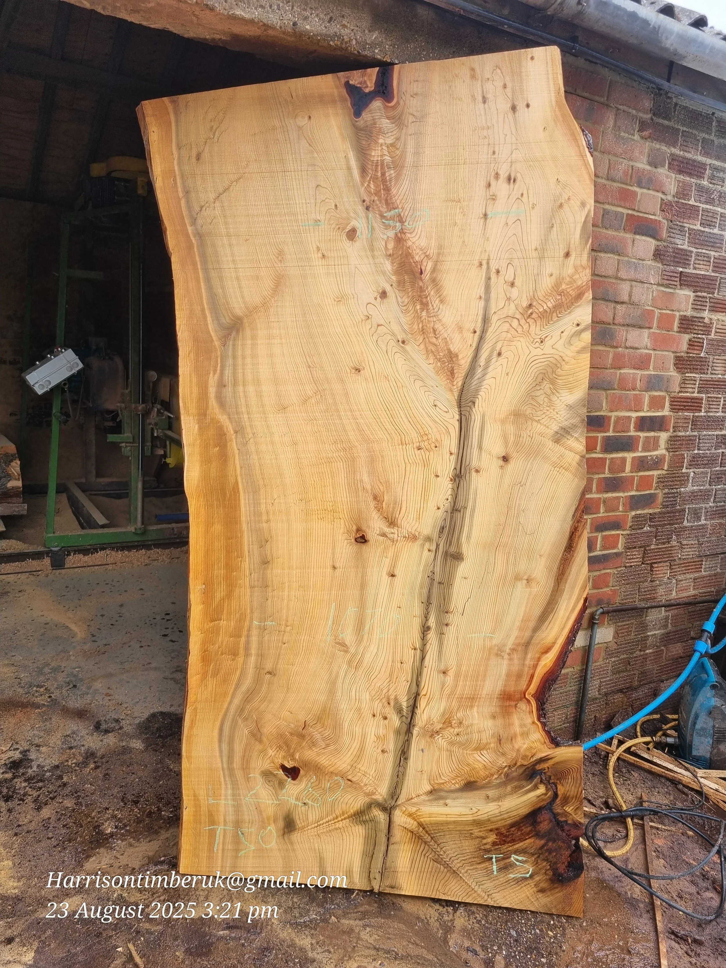 Cedar Slabs 5.jpg