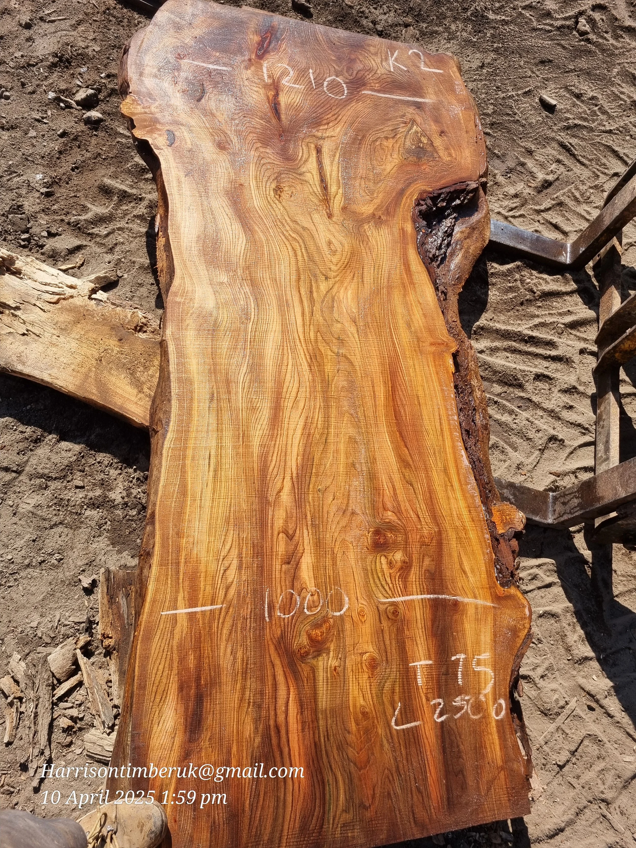 Large Elm Slabs (2).jpg