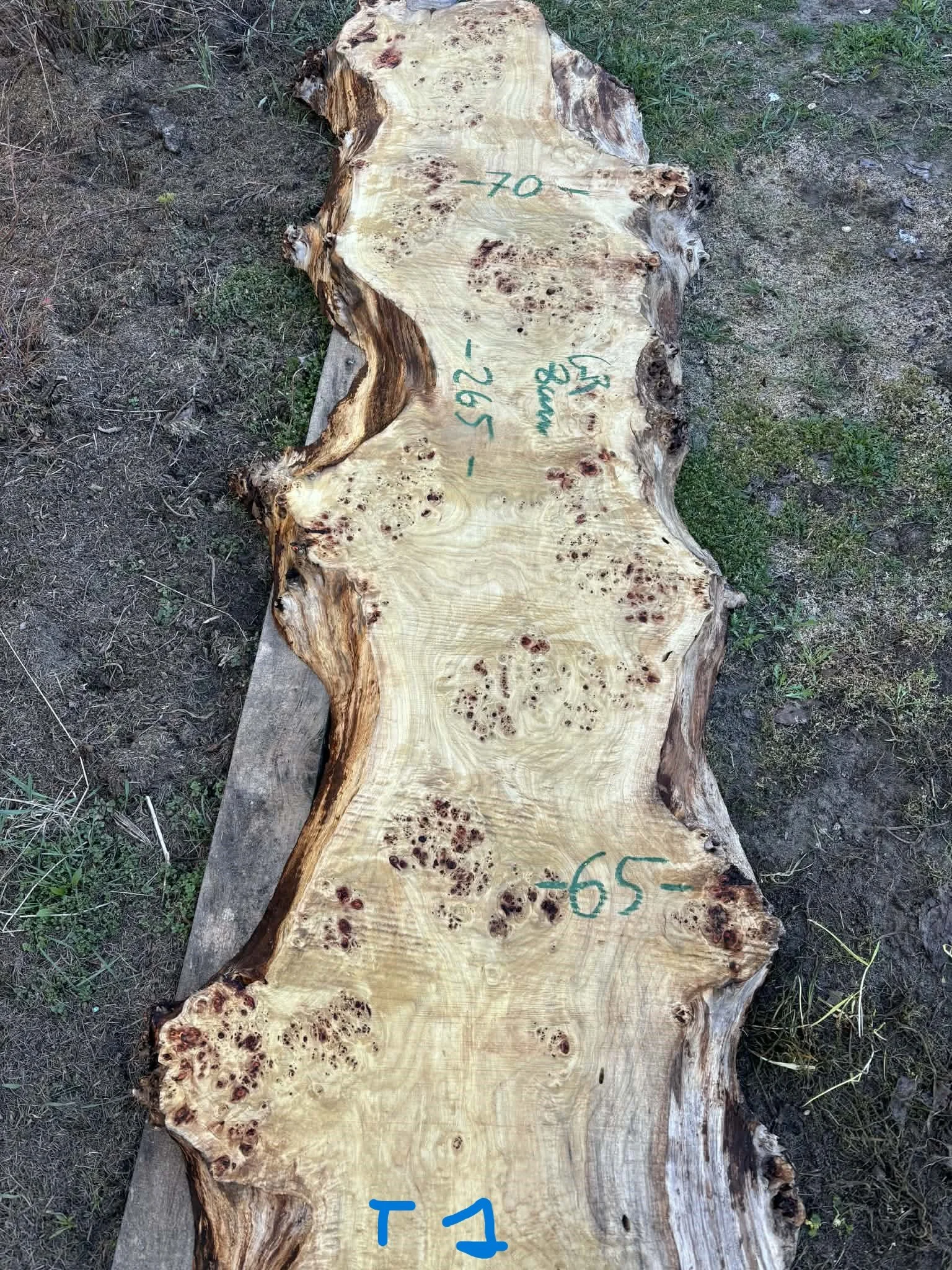 Mappa burl P1.jpeg