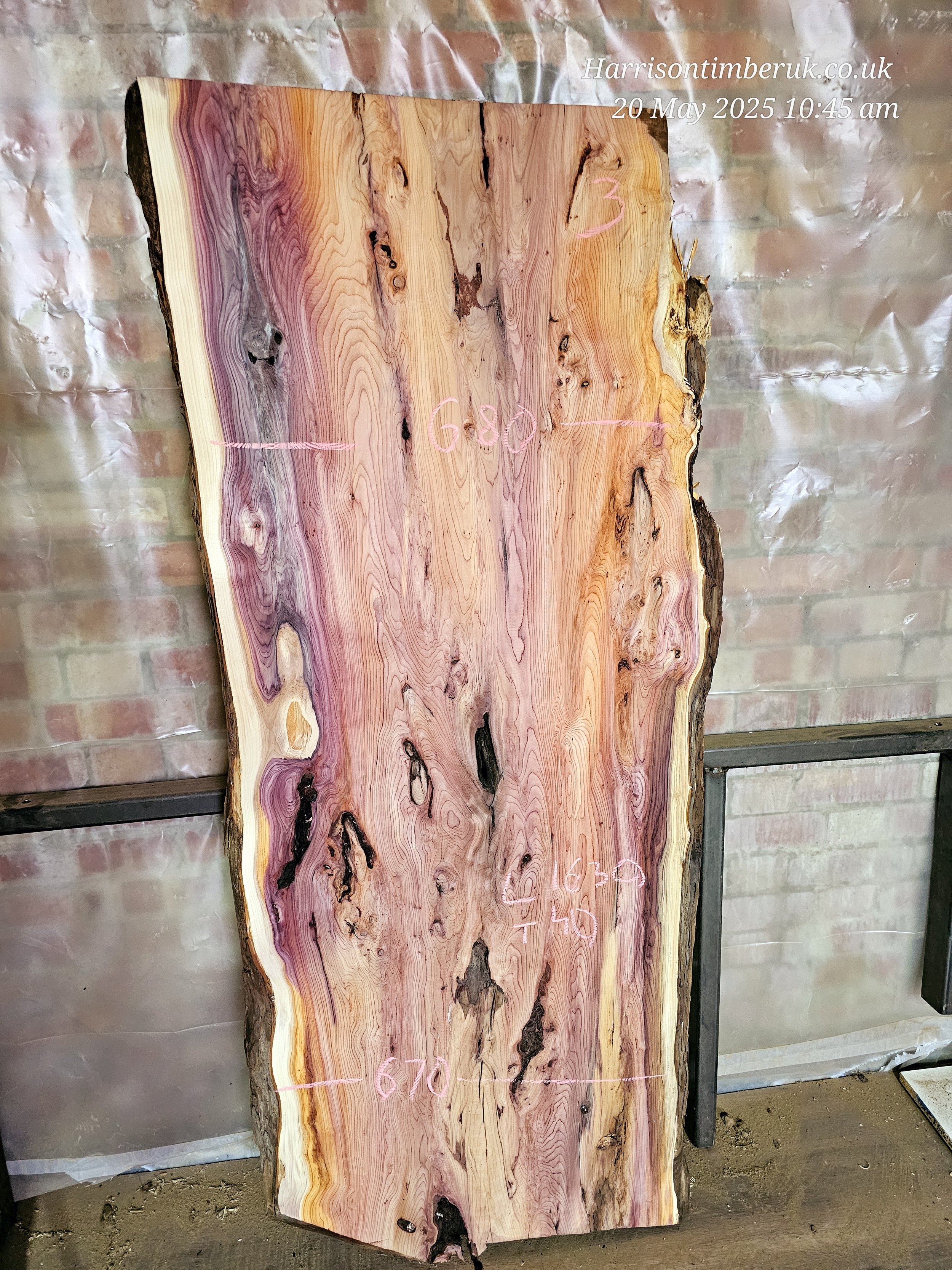 20250520_104537.jpg