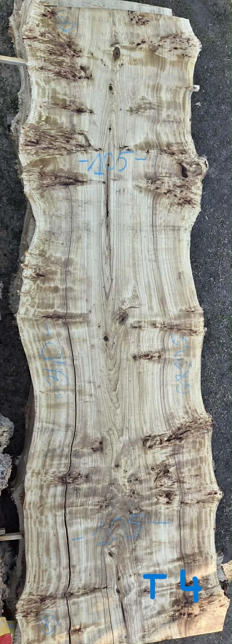 Mappa burl P4.jpeg