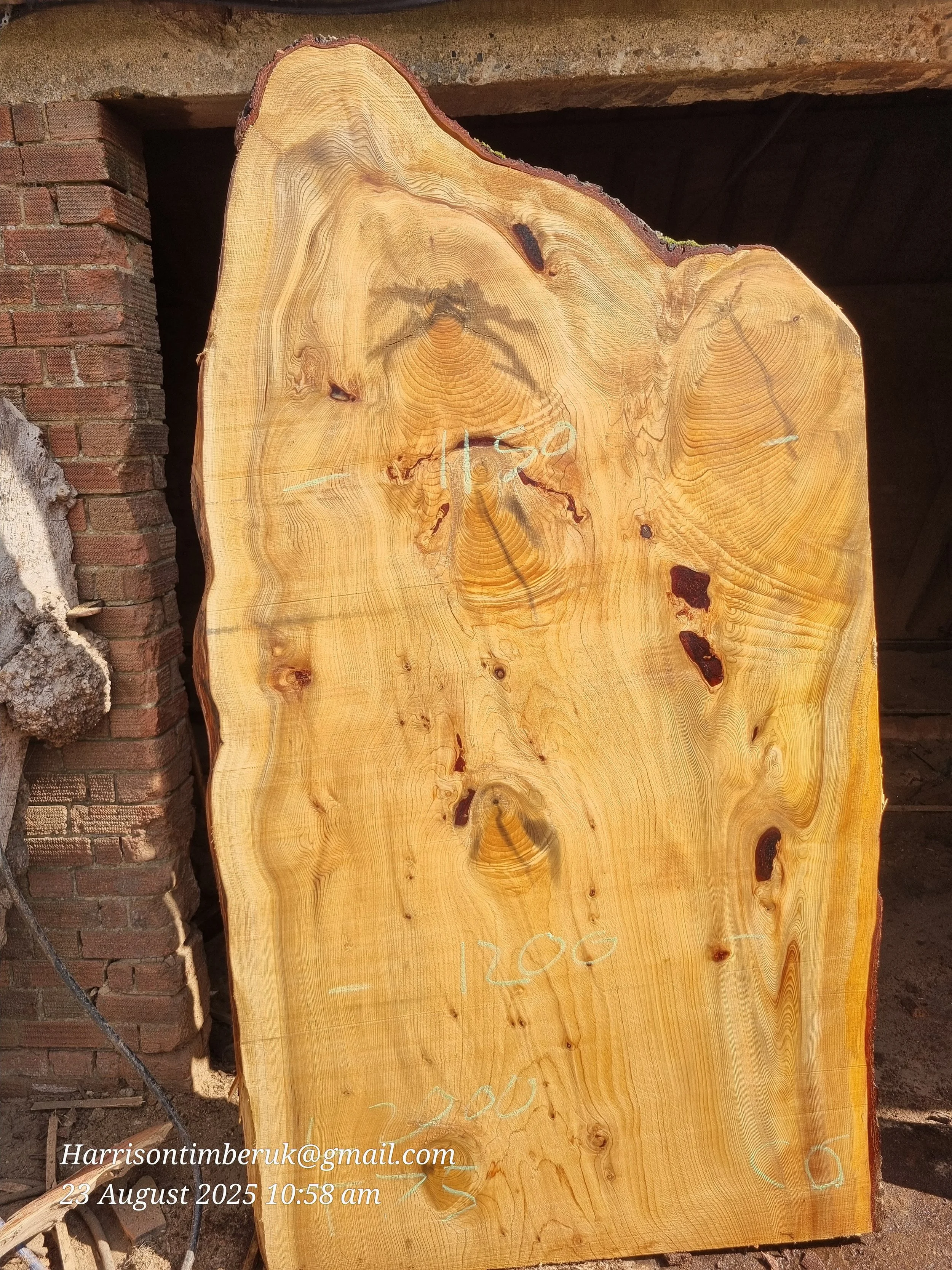 Unusally Looking Cedar Slabs (5).jpg