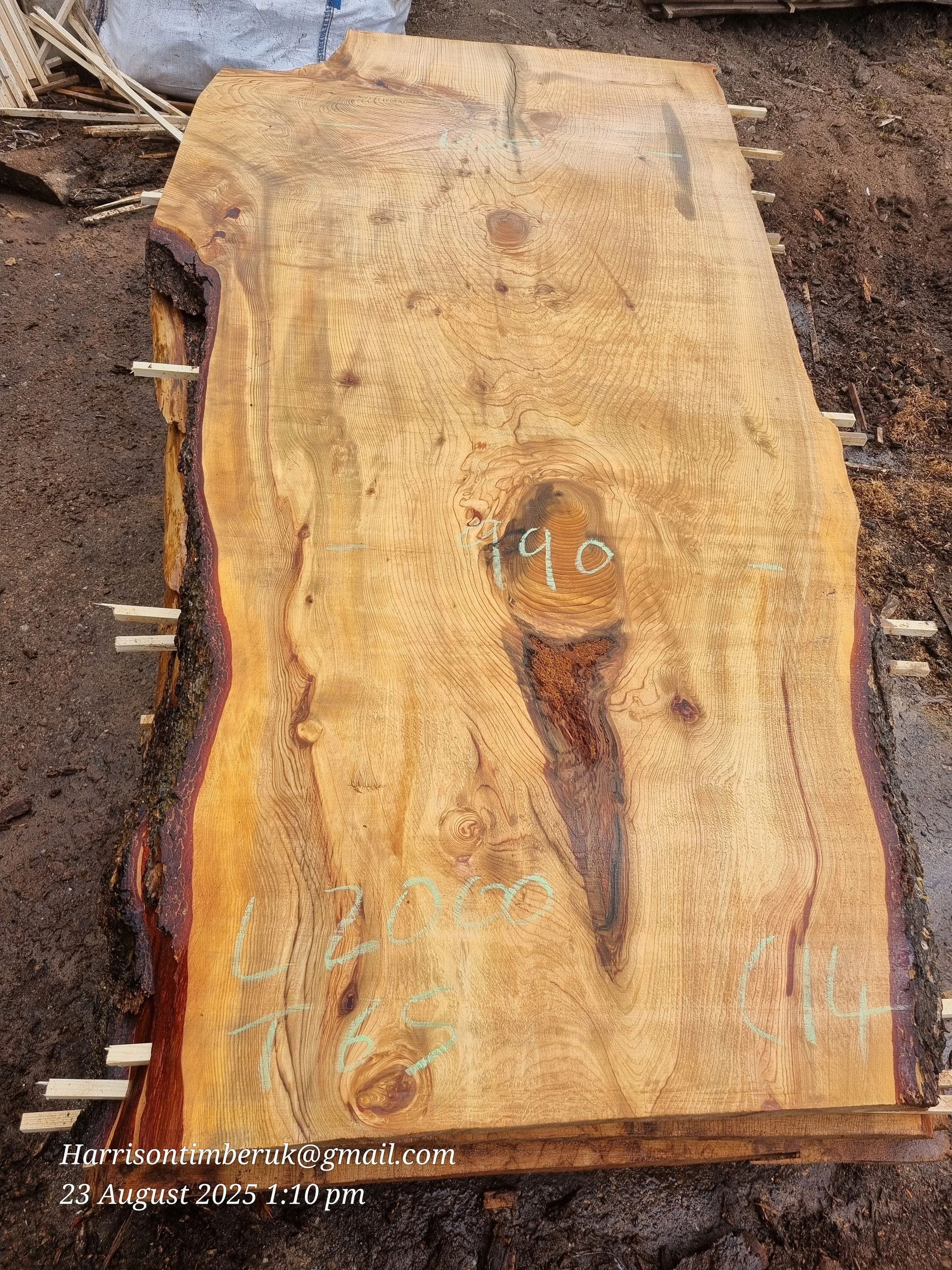Unusally Looking Cedar Slabs (14).jpg