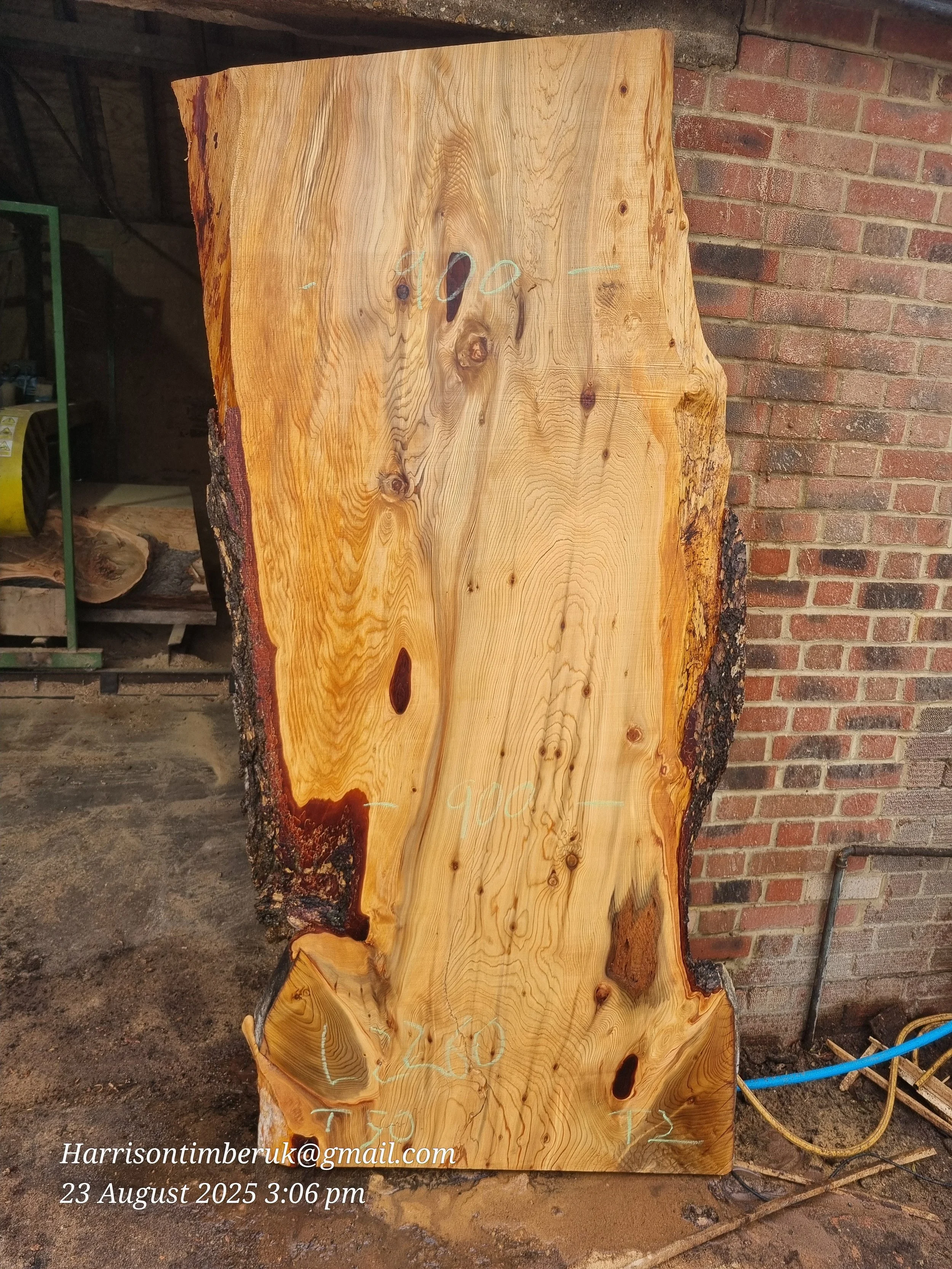 Cedar Slabs 2.jpg