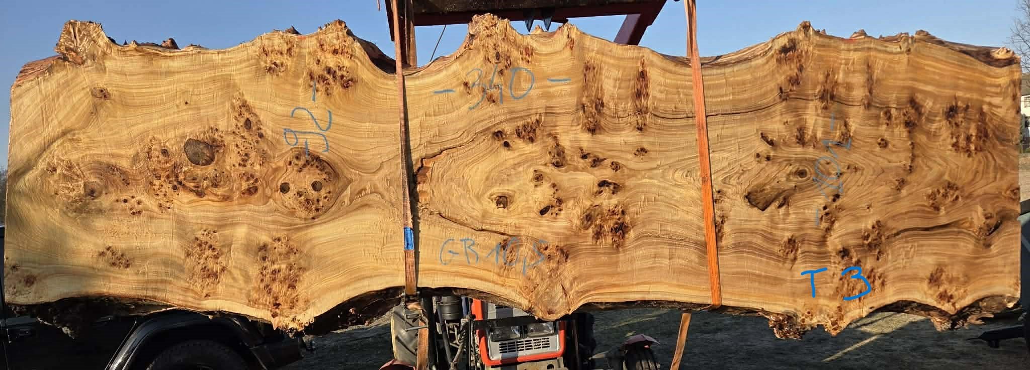 Mappa burl P3.jpeg