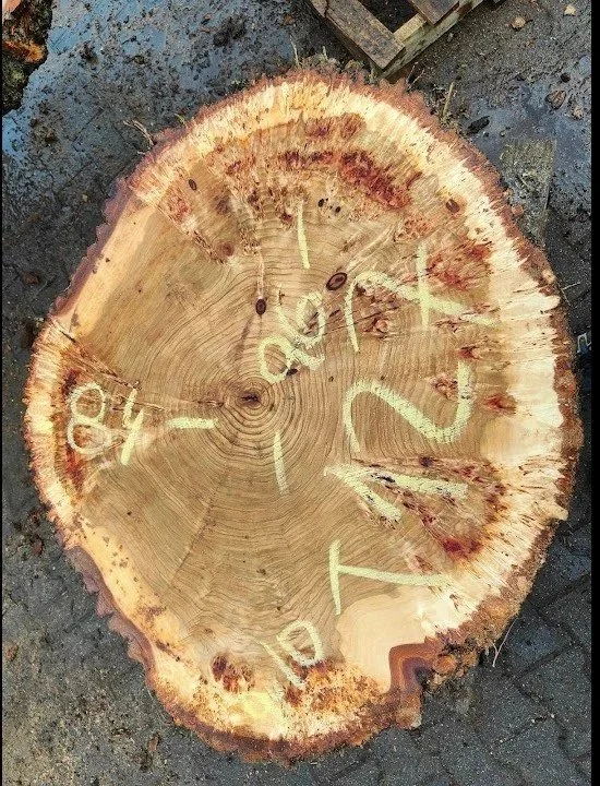 Mappa+burl+cookie+T+127.jpg