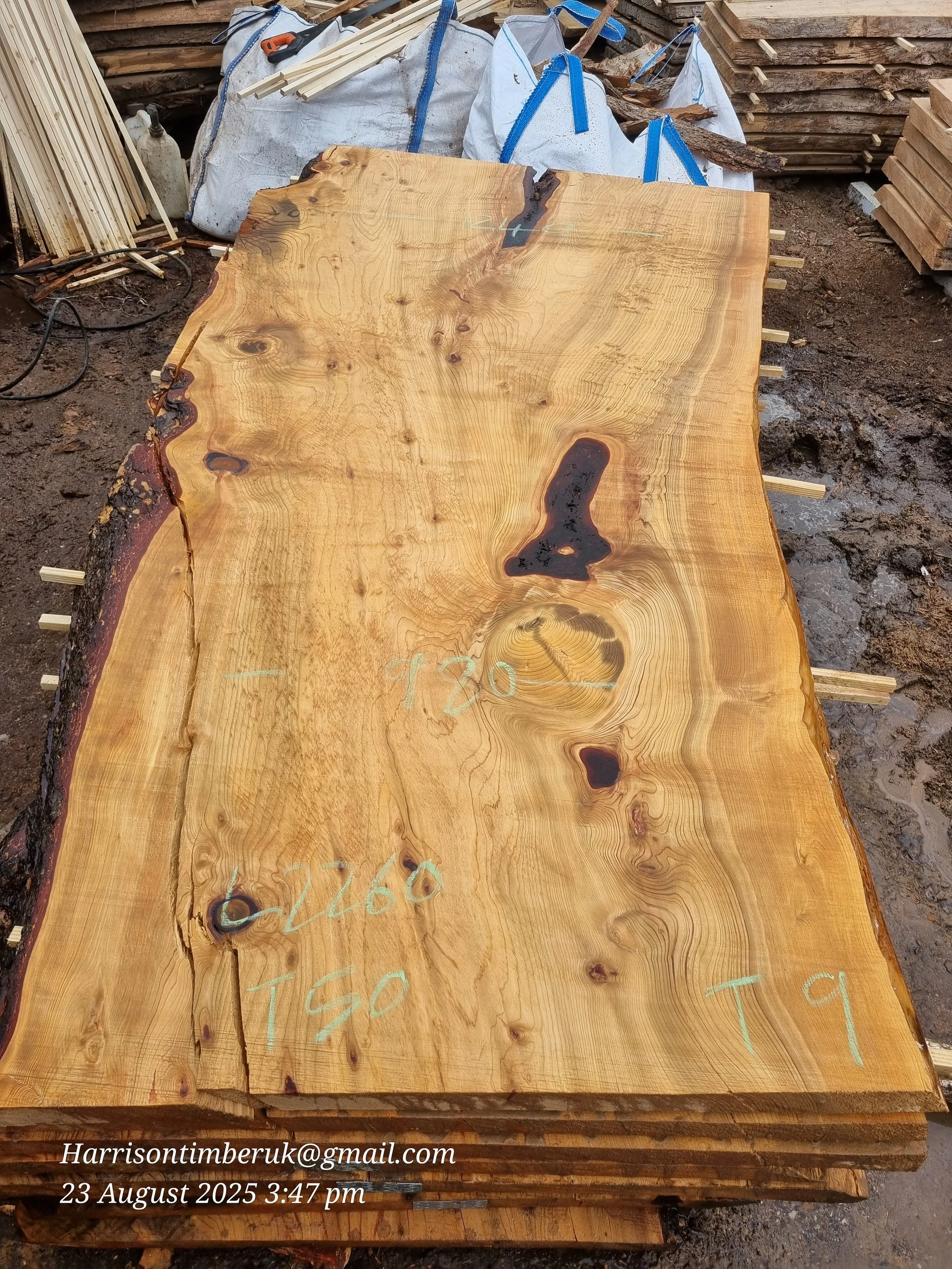 Cedar Slabs 9.jpg