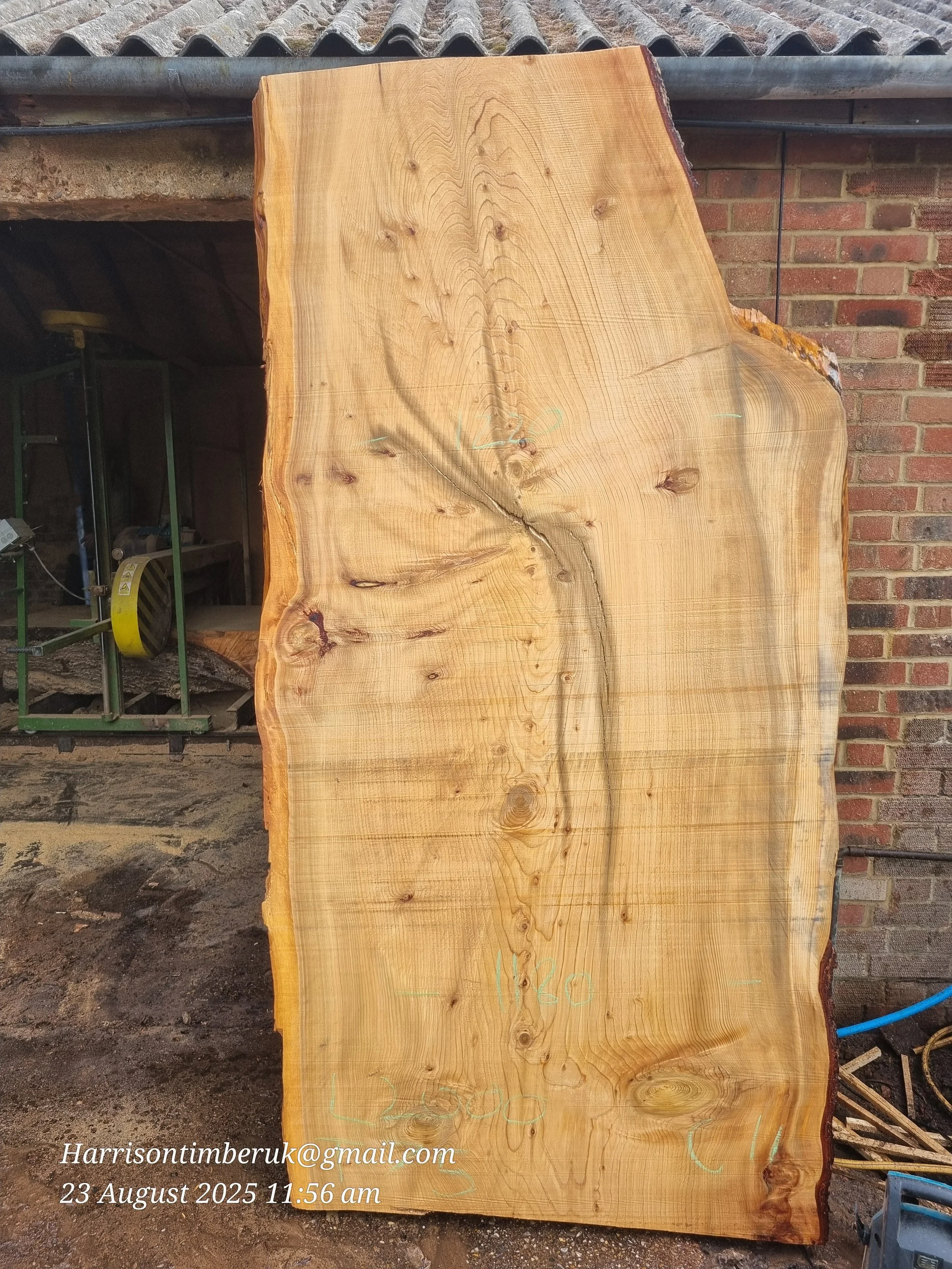 Unusally Looking Cedar Slabs (11).jpg