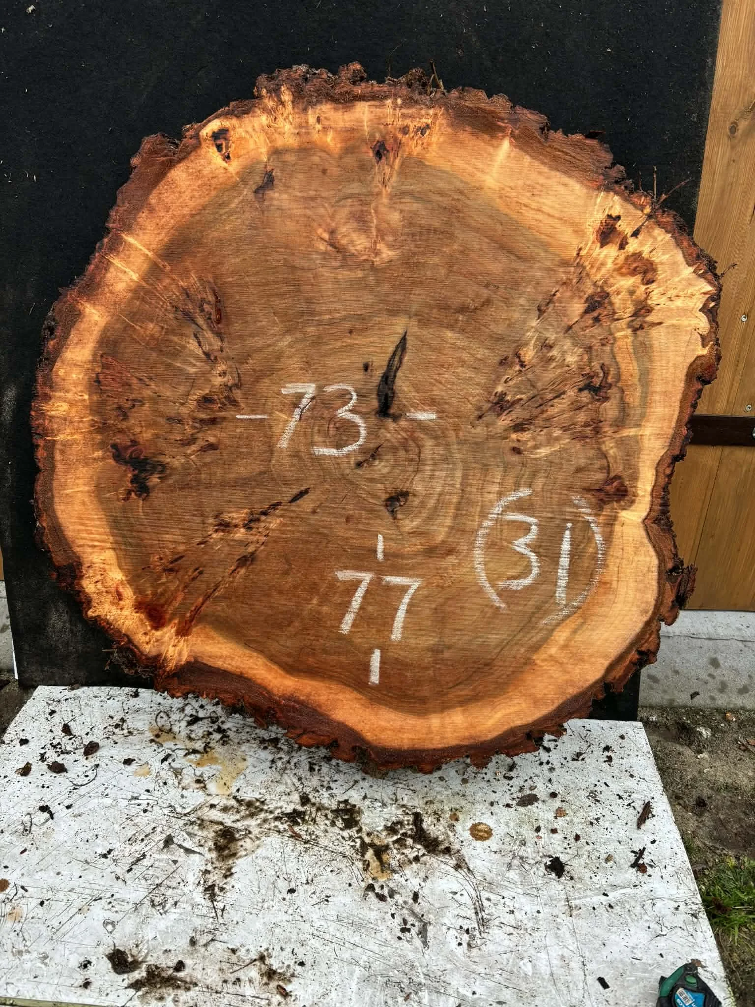 Mappa burl cookie (31).jpeg