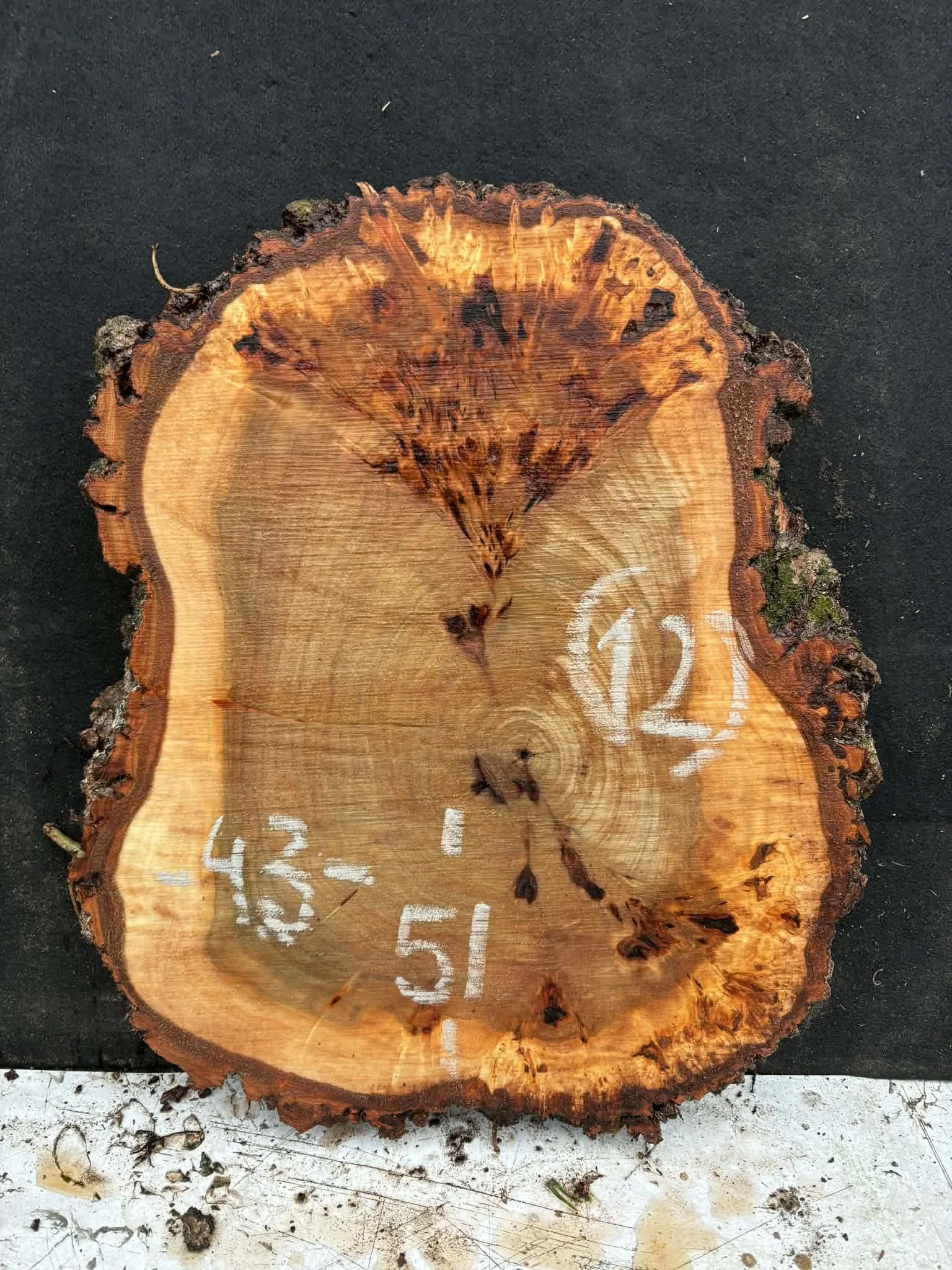 Mappa burl cookie (12).jpeg