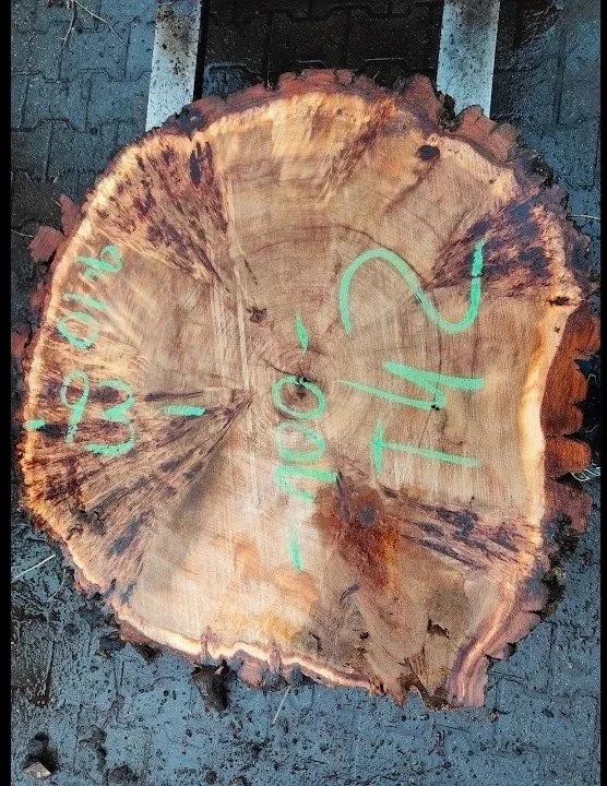 Mappa+burl+cookie+T+42.jpg