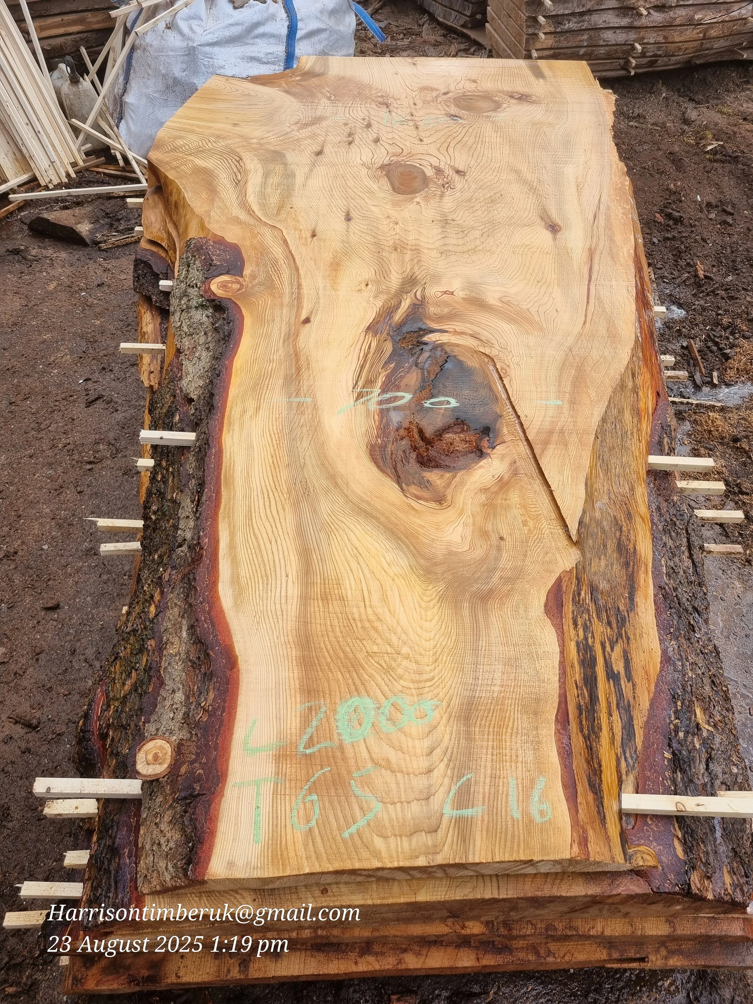 Unusally Looking Cedar Slabs (16).jpg
