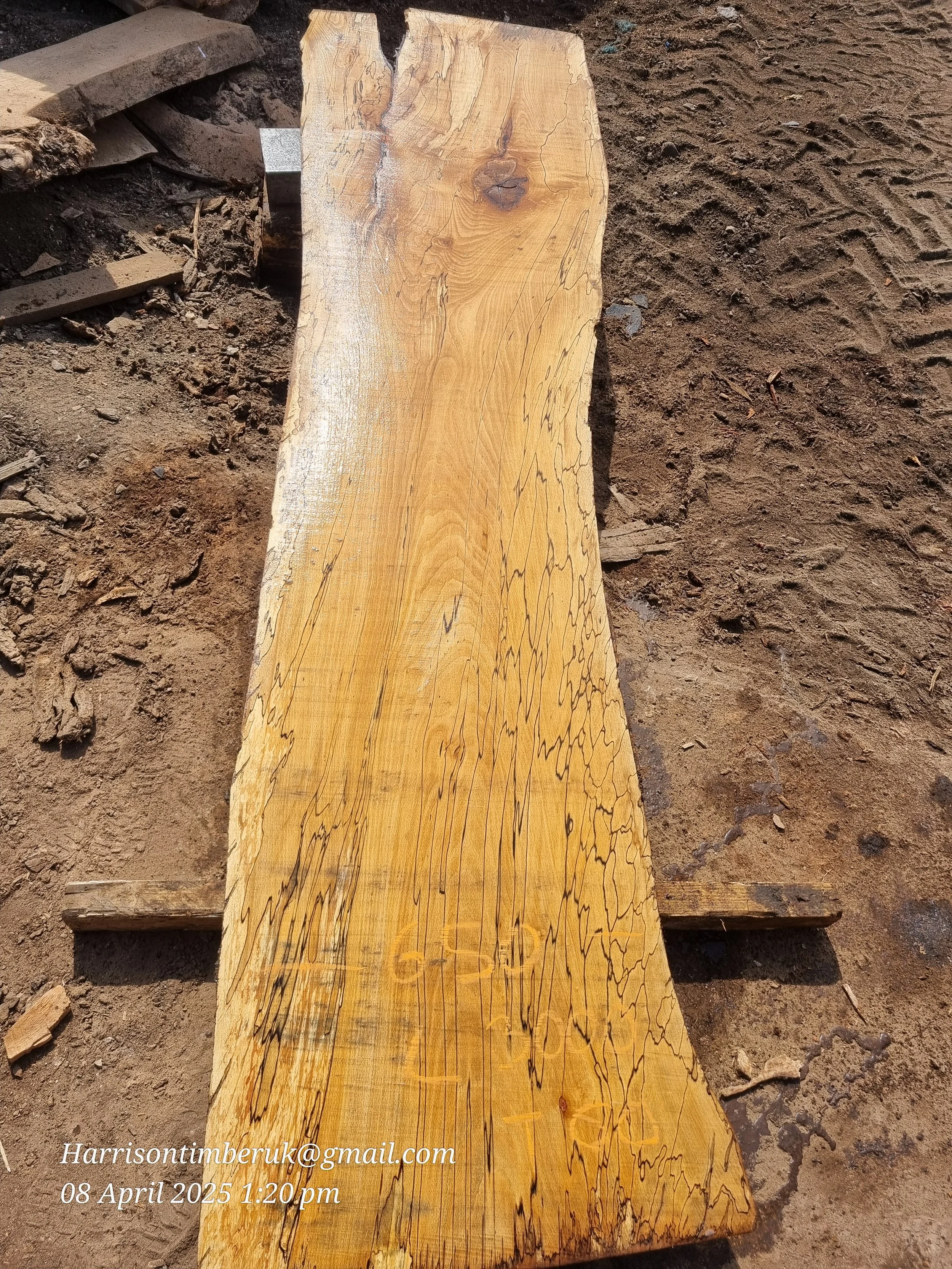 Spalted beech (1).jpg