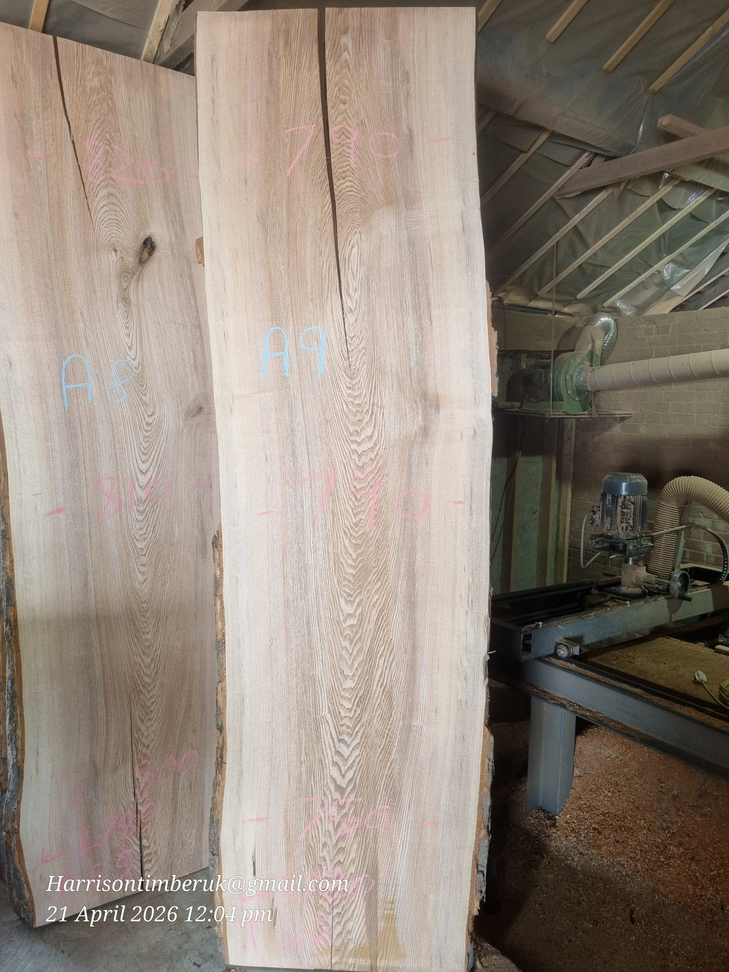Olive ash A9.jpg