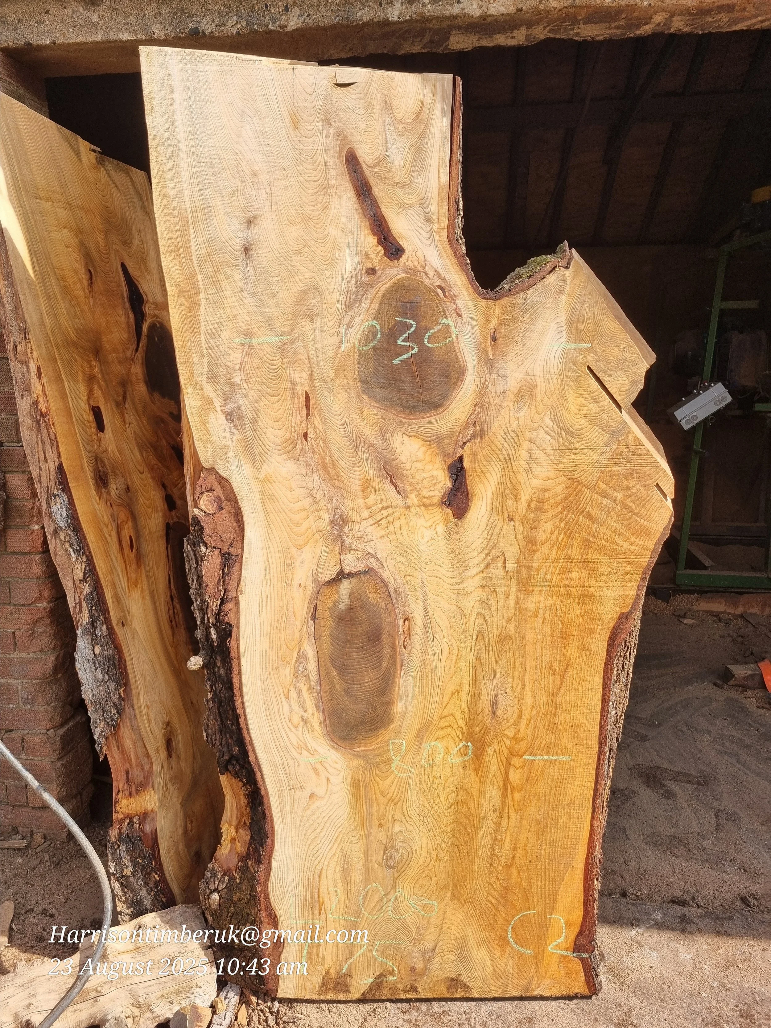 Unusally Looking Cedar Slabs (1).jpg