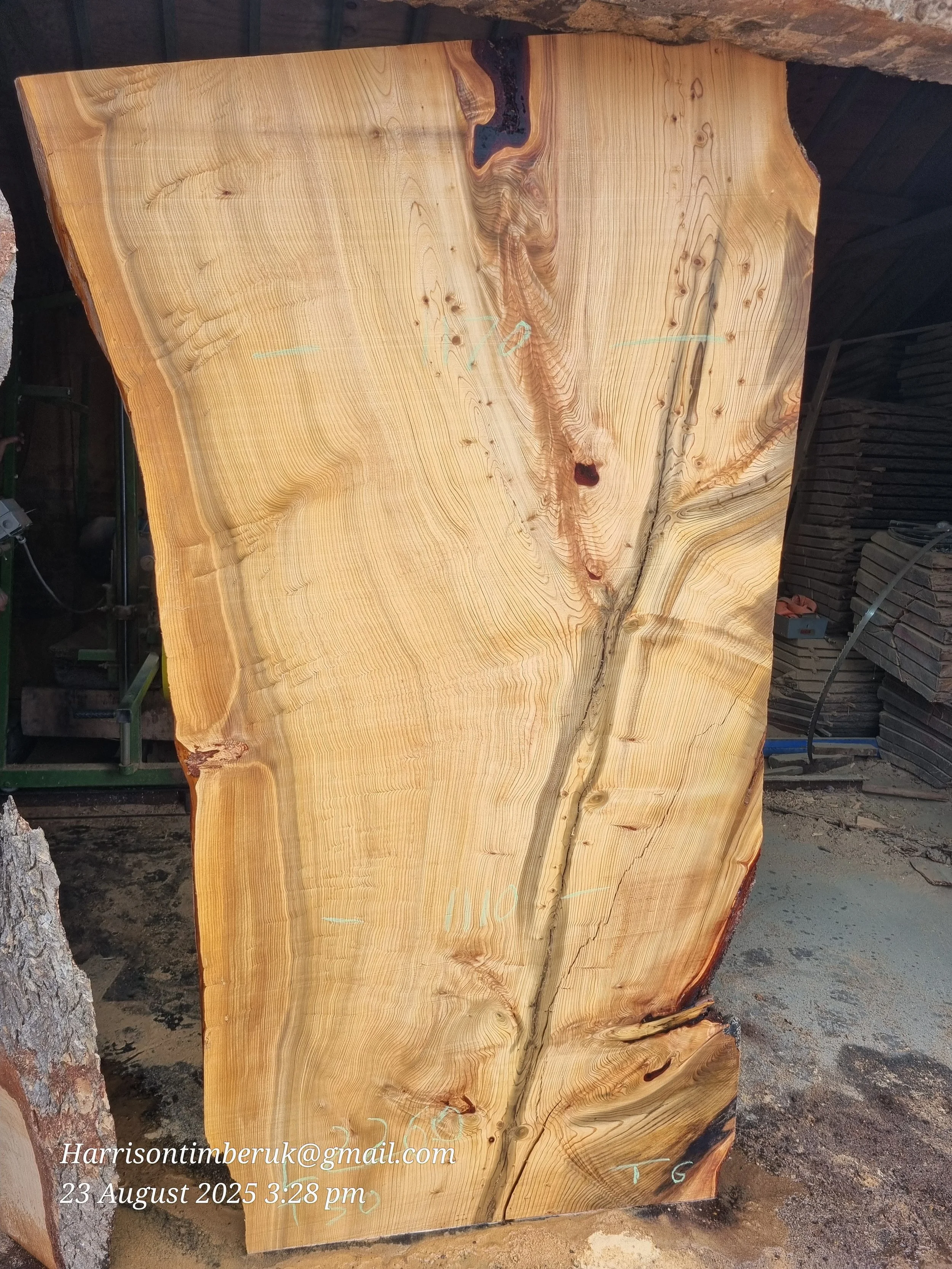 Cedar Slabs 6.jpg
