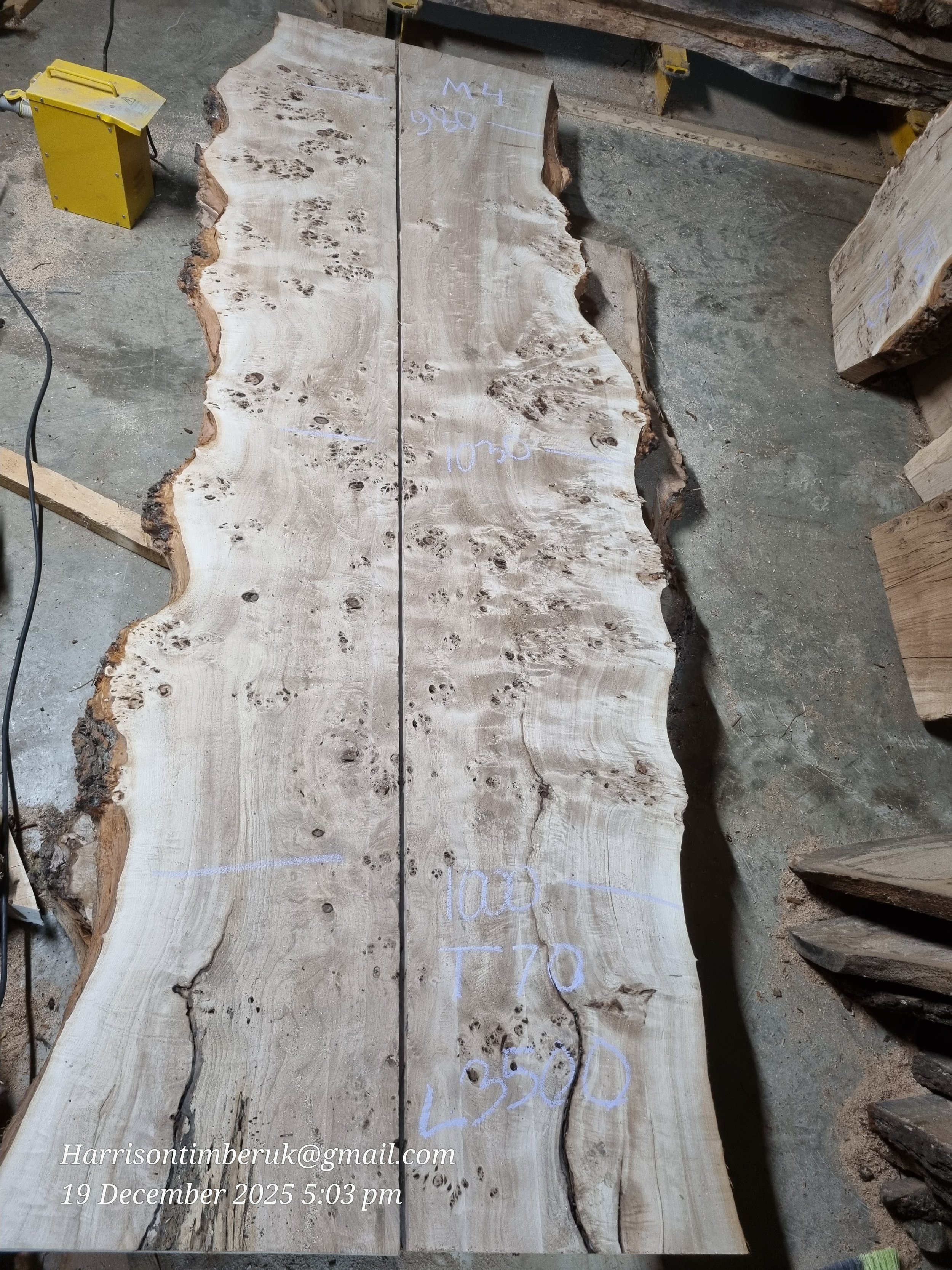 Mappa Burl M4 H.jpg