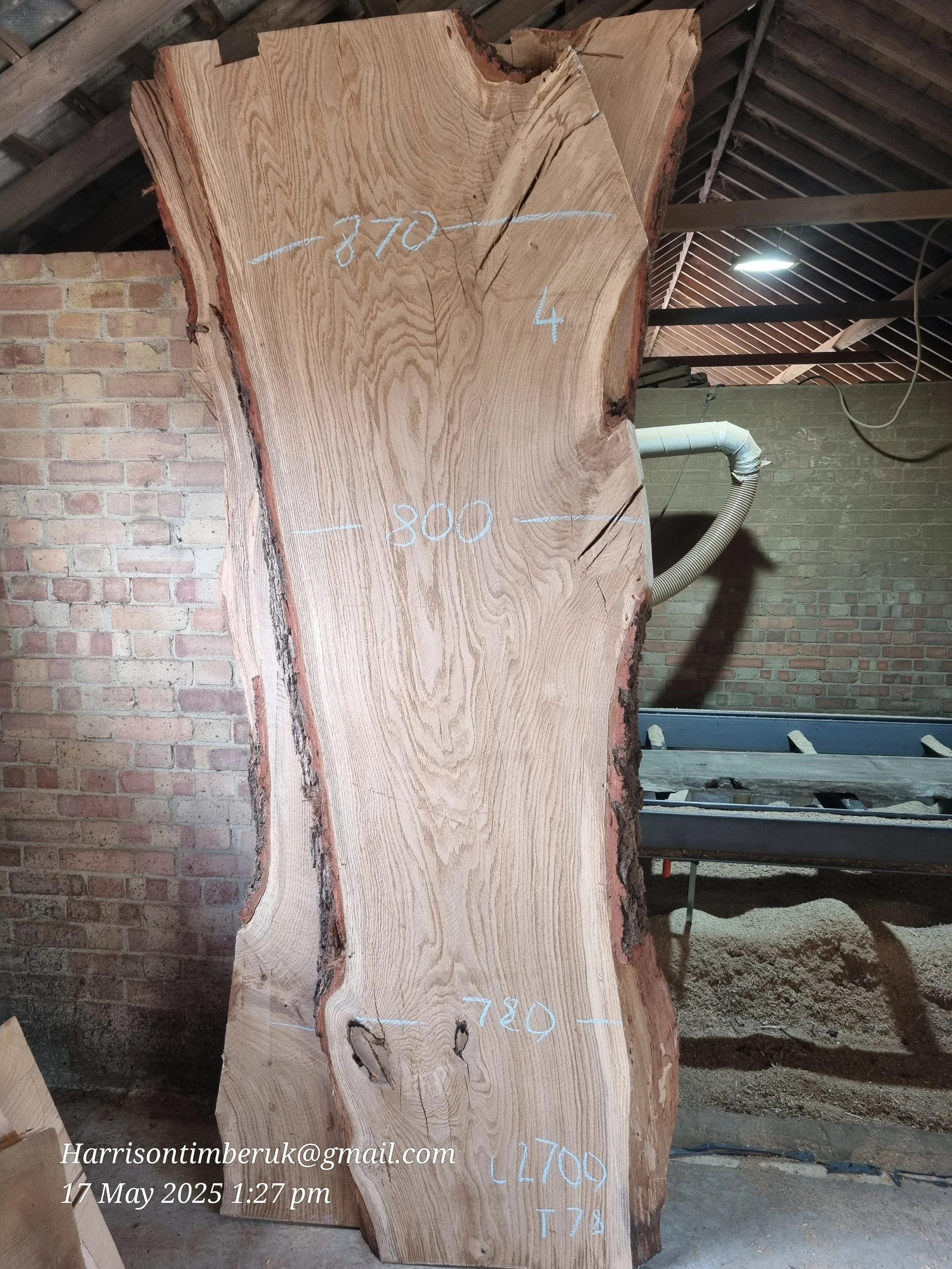 LARGE THICK OAK SLAB