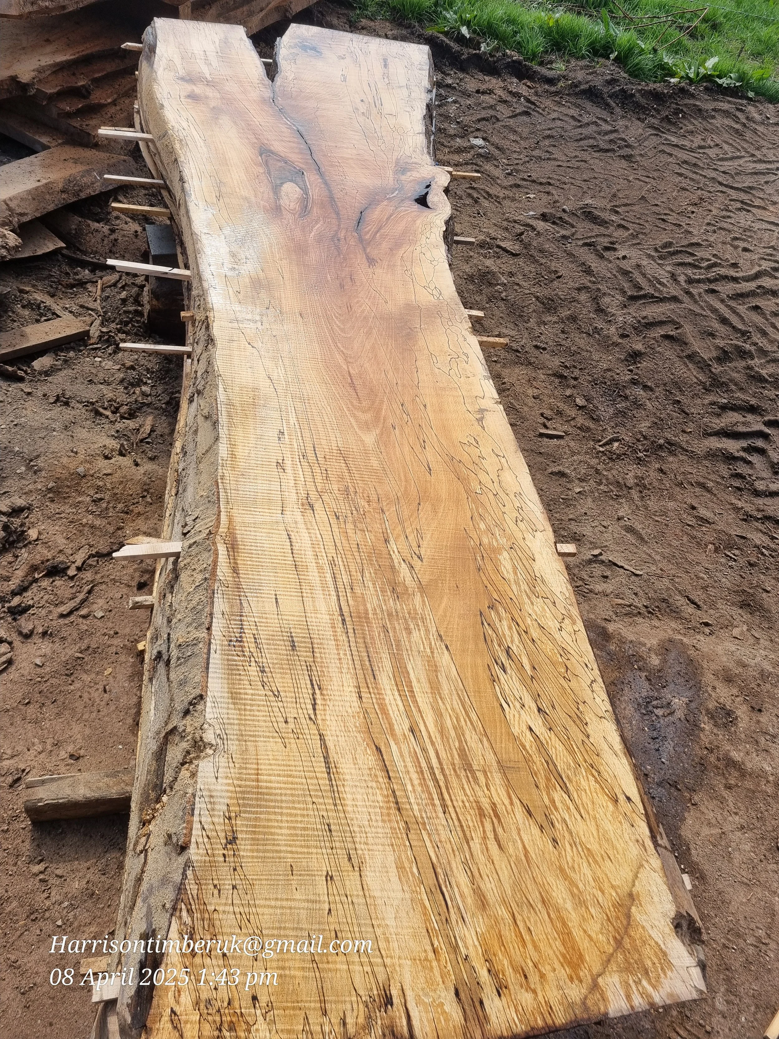 Spalted beech (7).jpg
