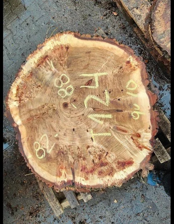 Mappa+burl+cookie+T+124.jpg