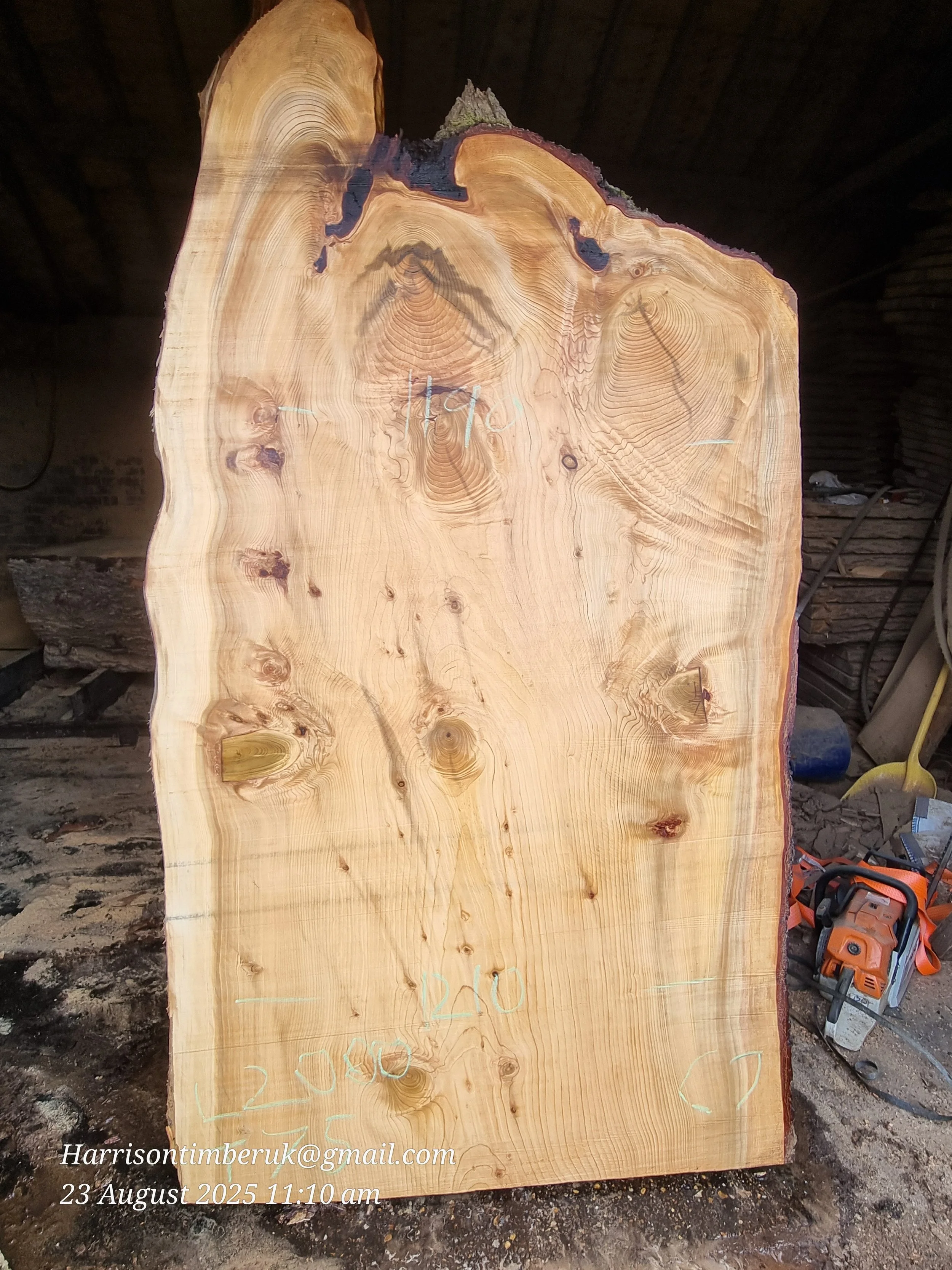 Unusally Looking Cedar Slabs (7).jpg
