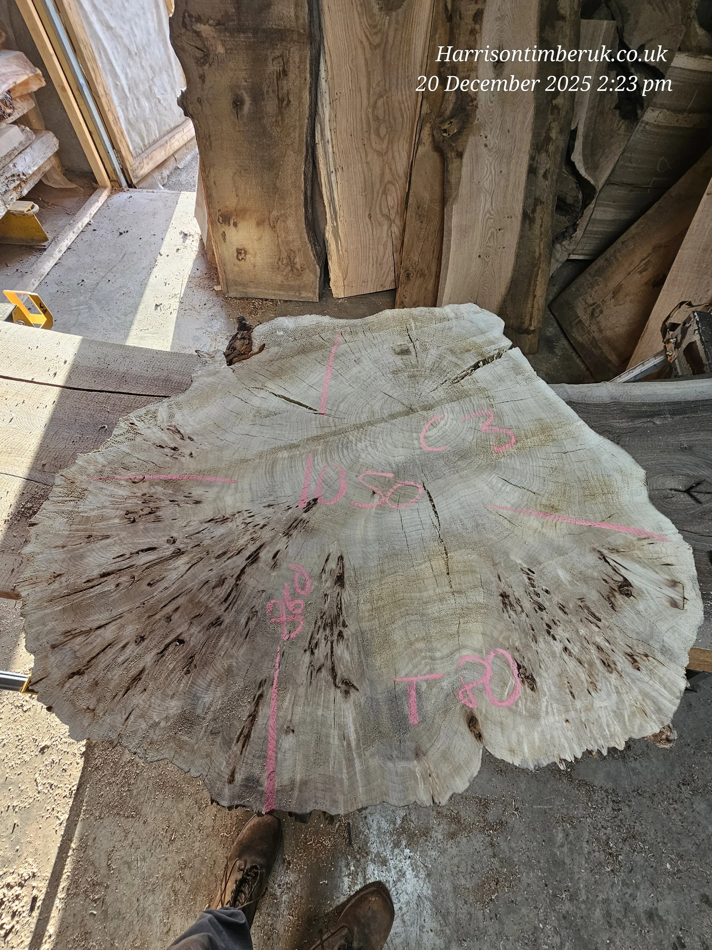 Mappa Burl Cookie no 3.jpg