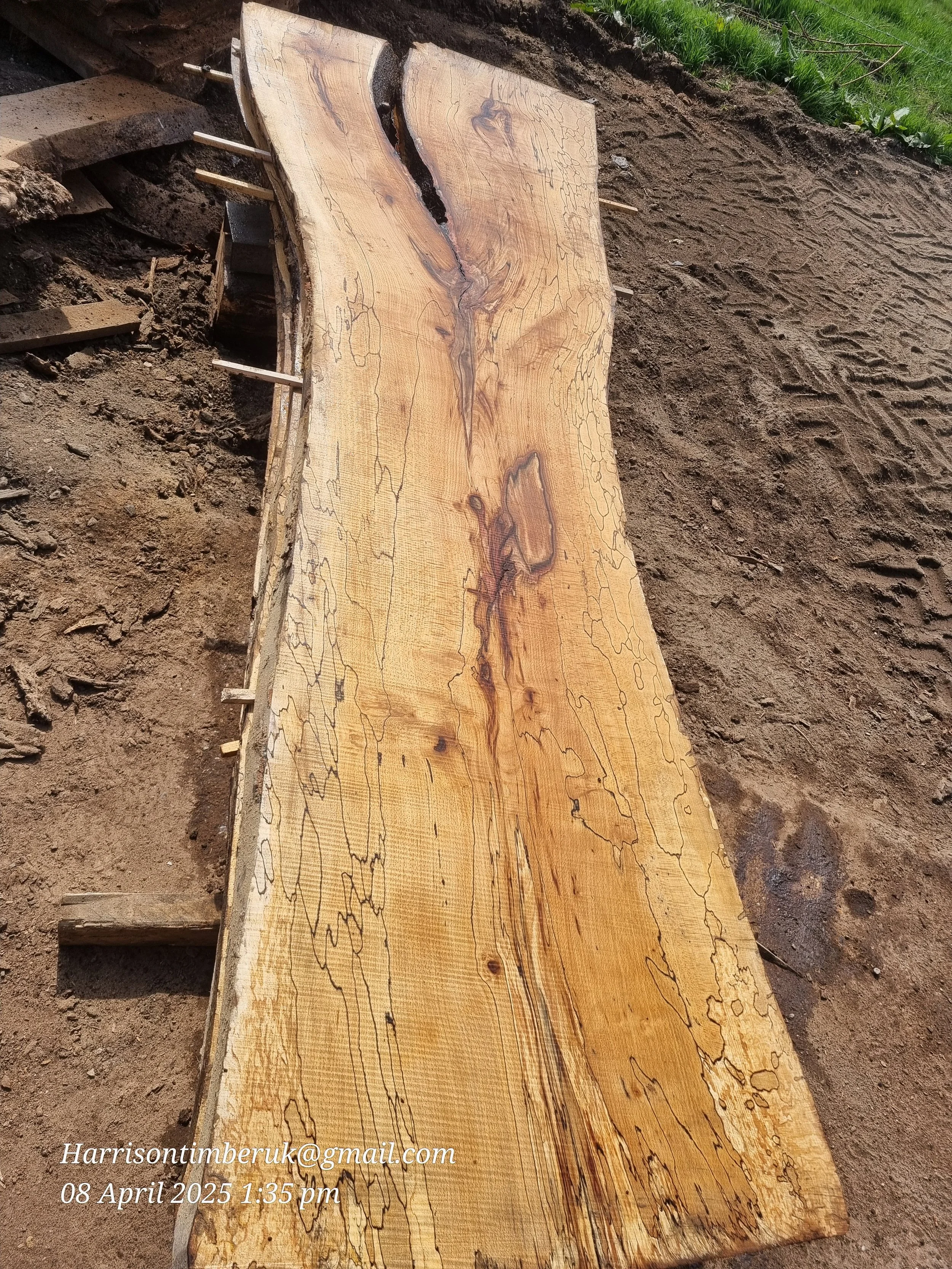 Spalted beech (5).jpg