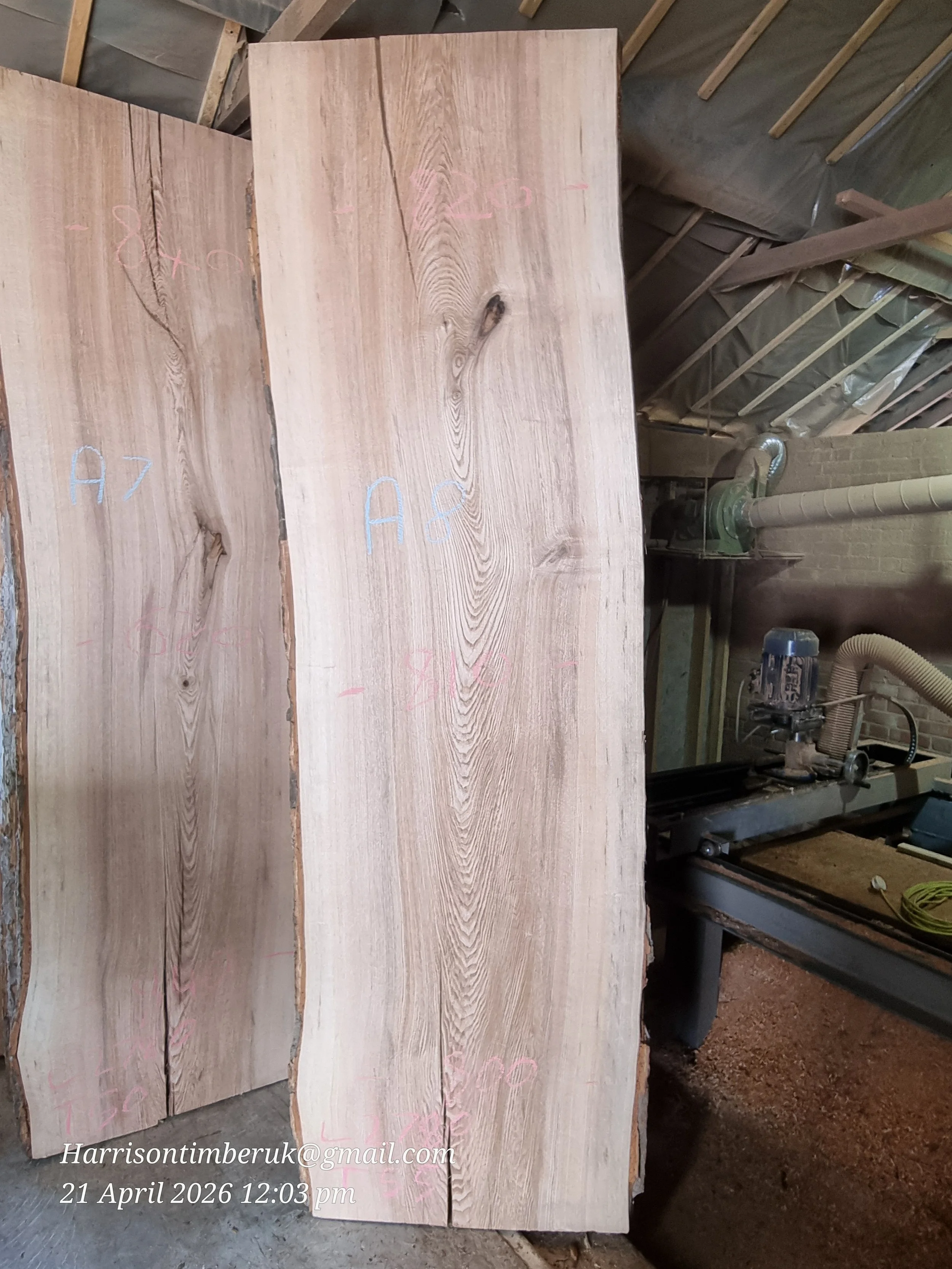Olive Ash Slabs