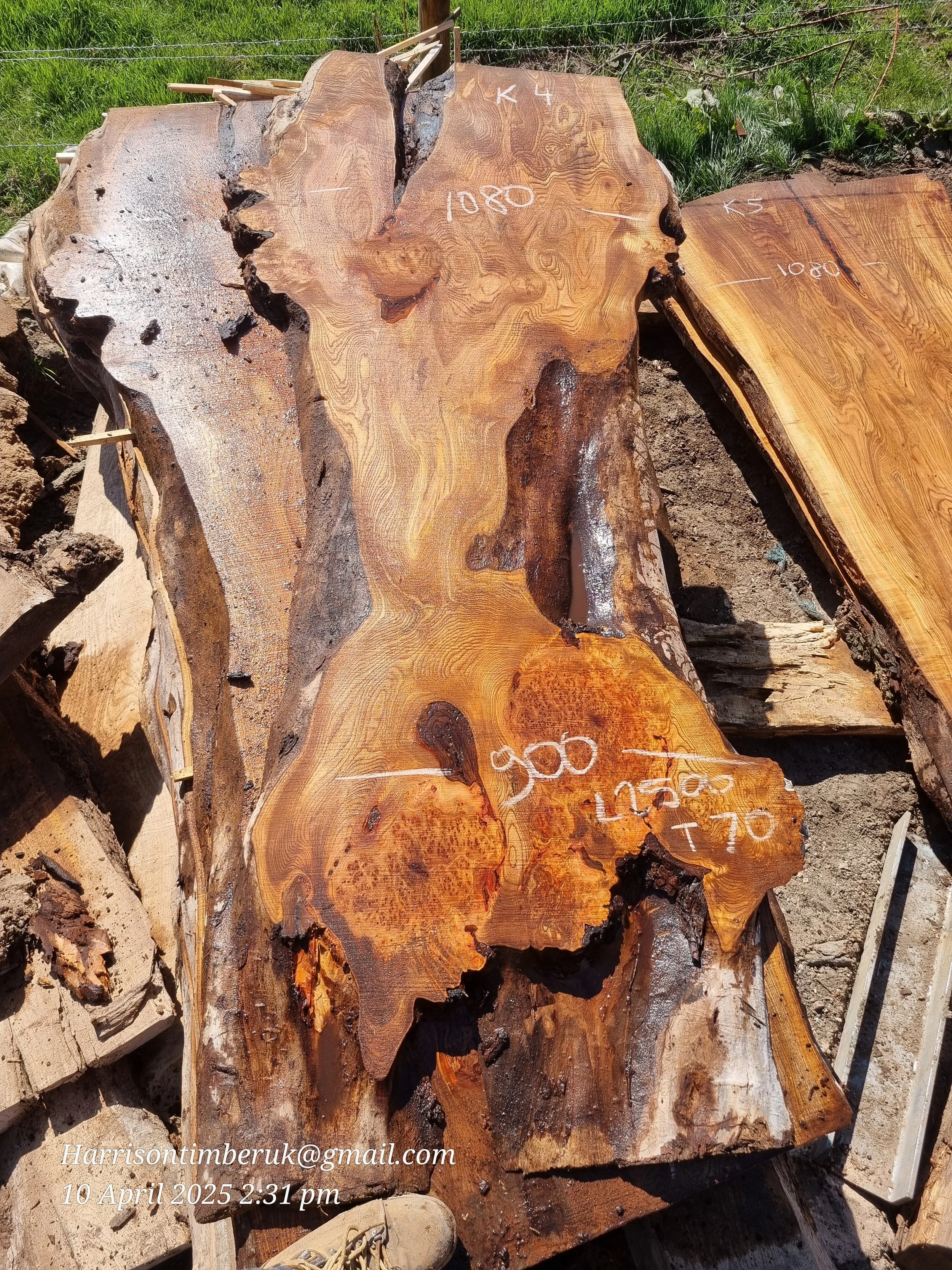 Large Elm Slabs (4).jpg