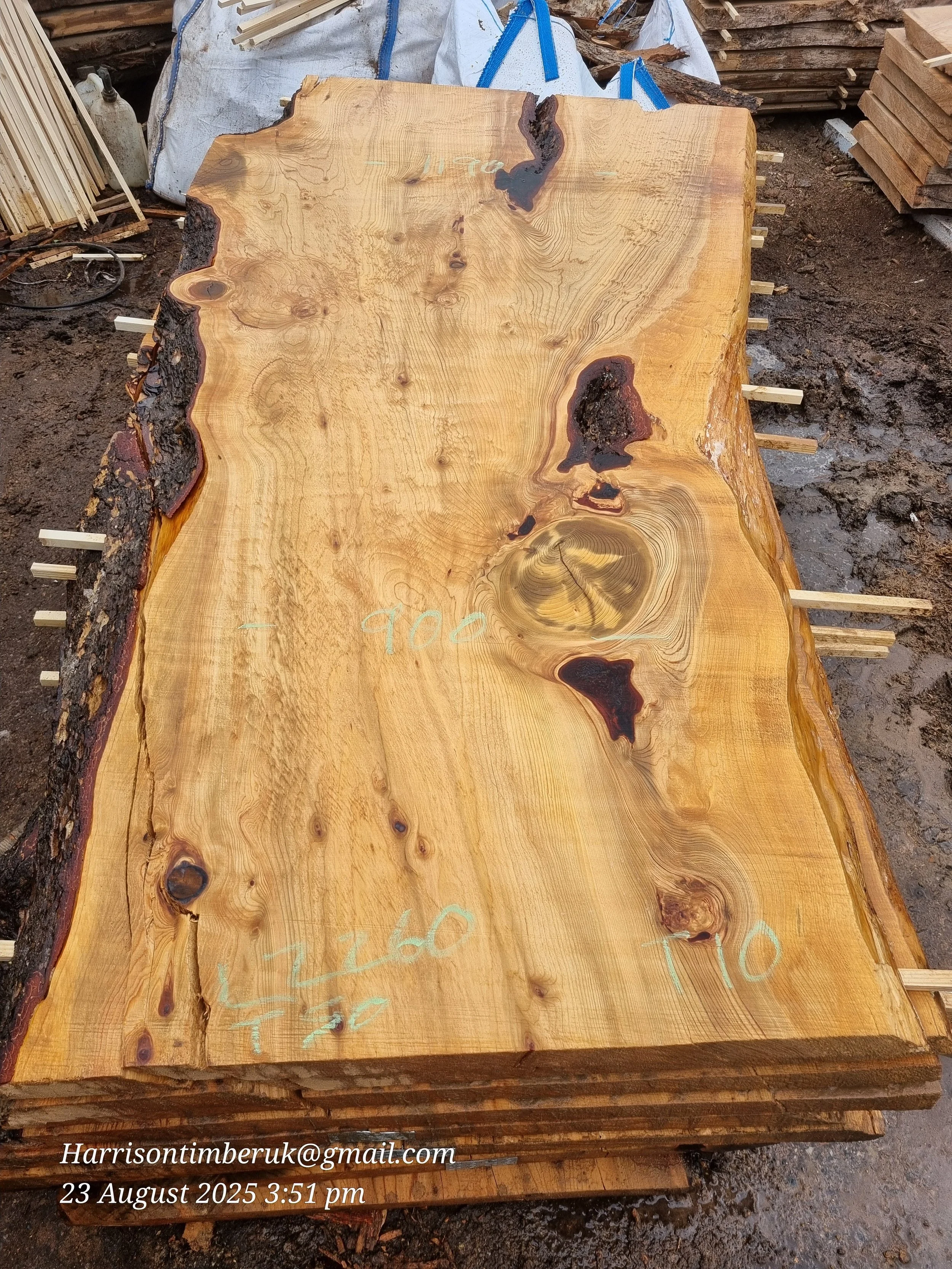 Cedar Slabs 10.jpg