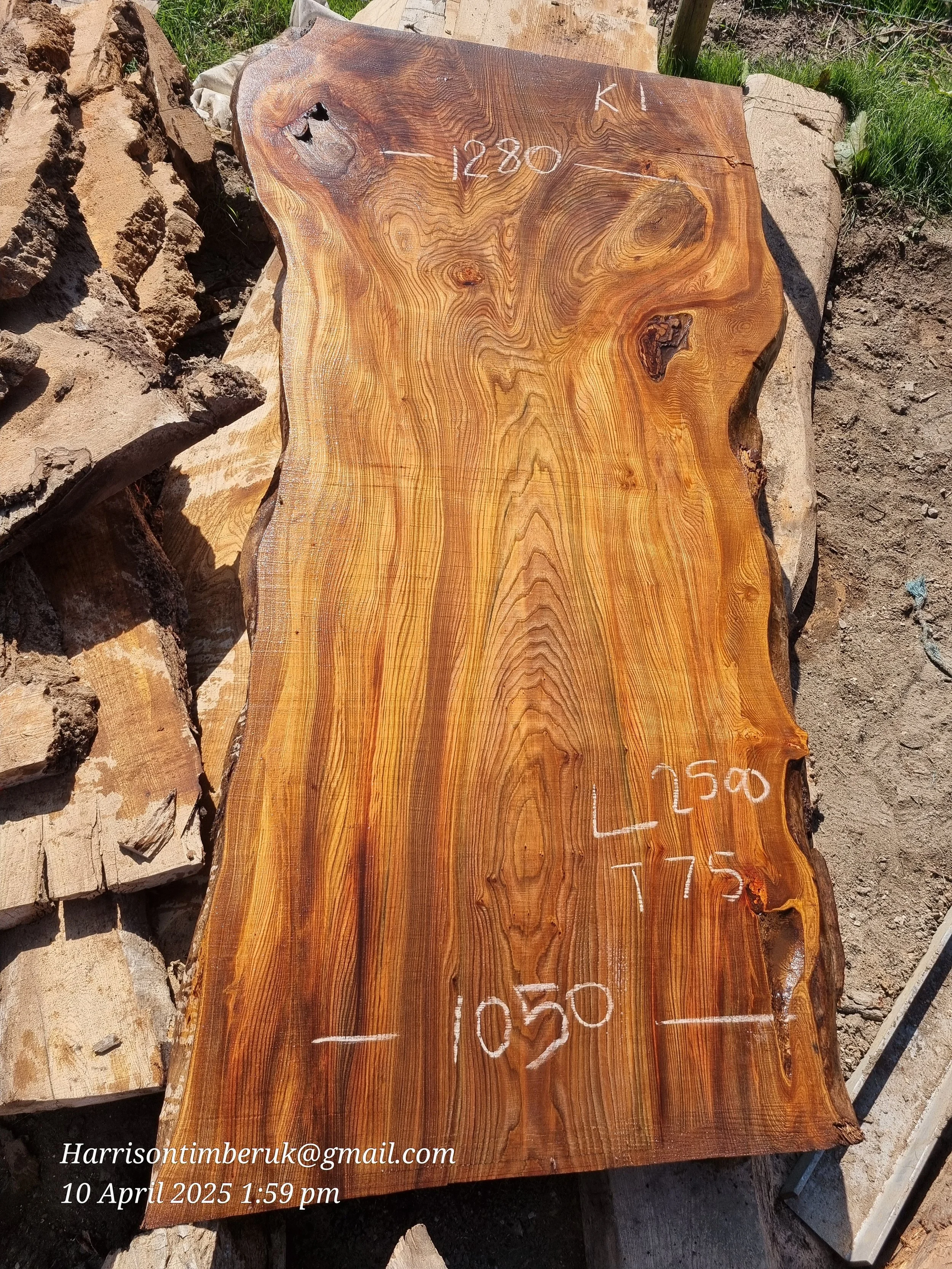 Large Elm Slabs (1).jpg