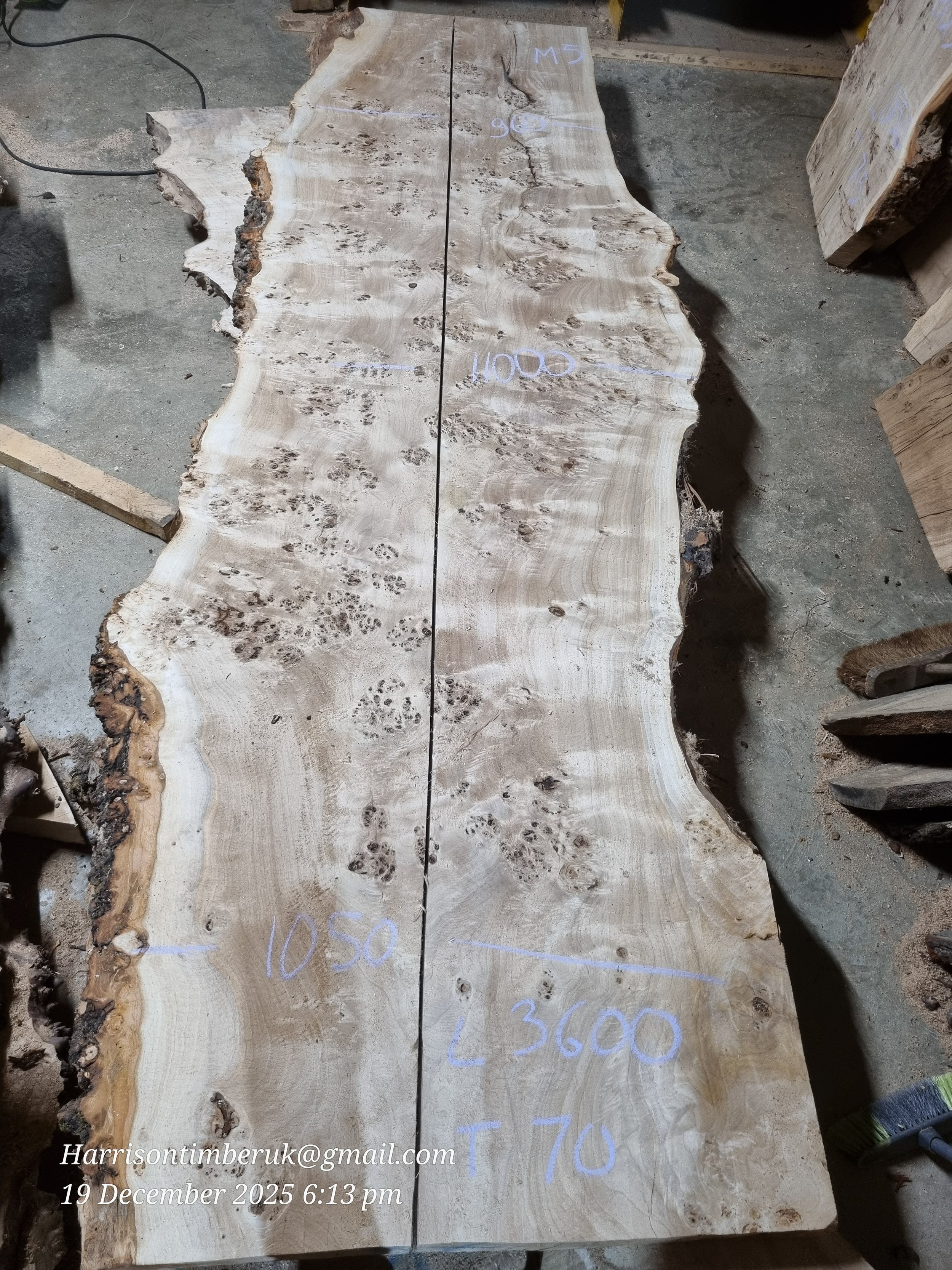 Mappa Burl M5 H.jpg