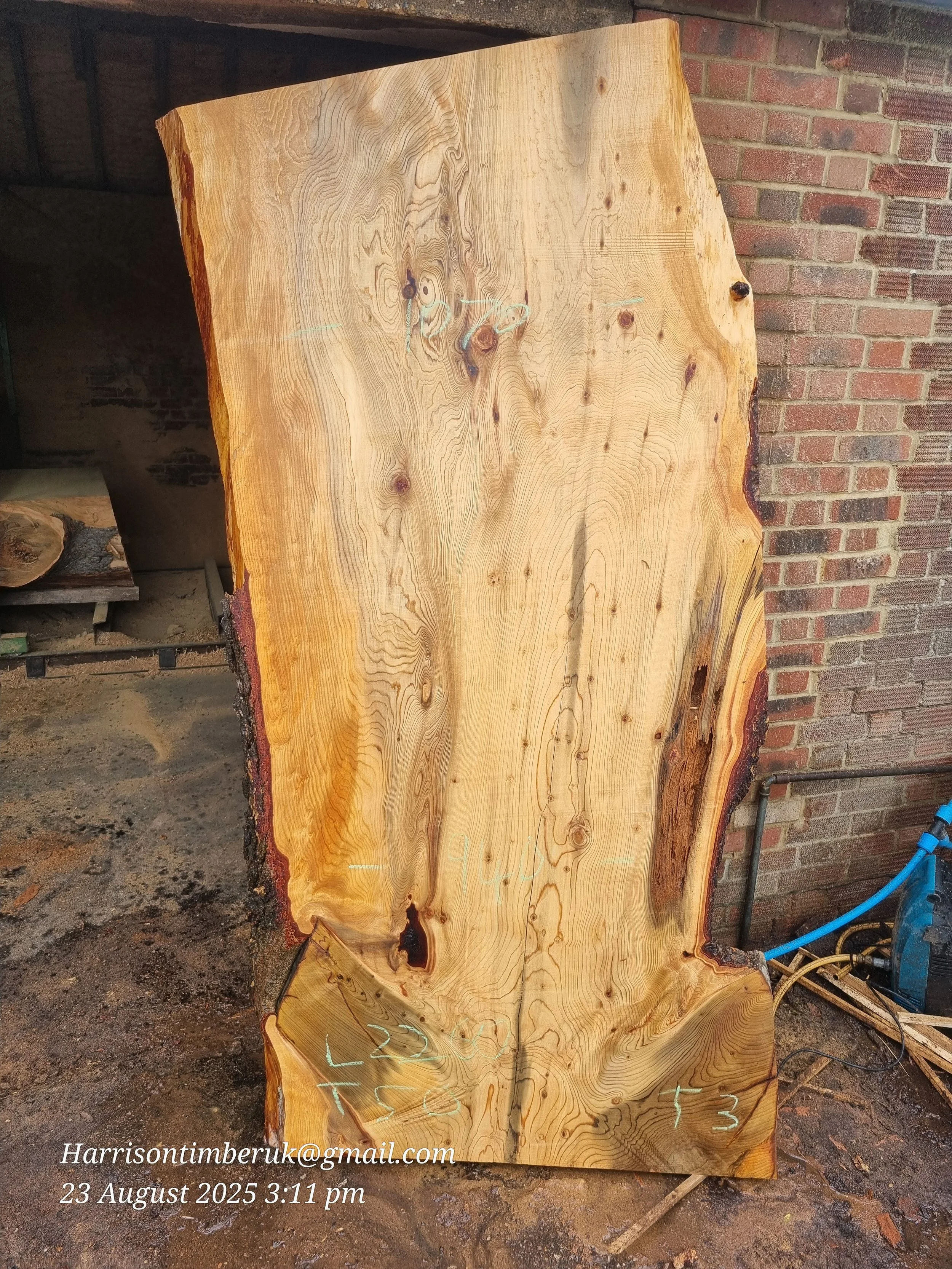 Cedar Slabs 3.jpg