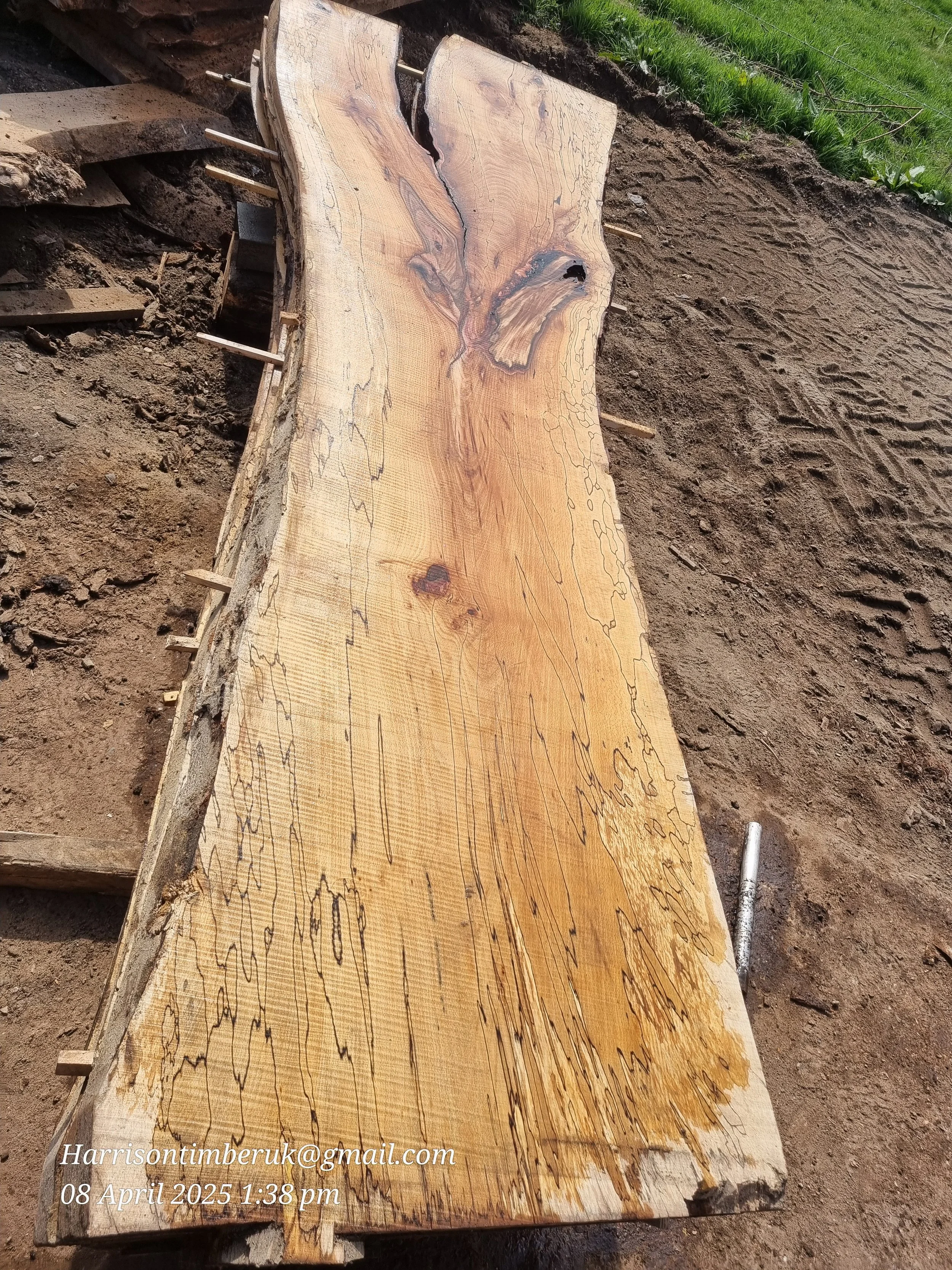 Spalted beech (6).jpg