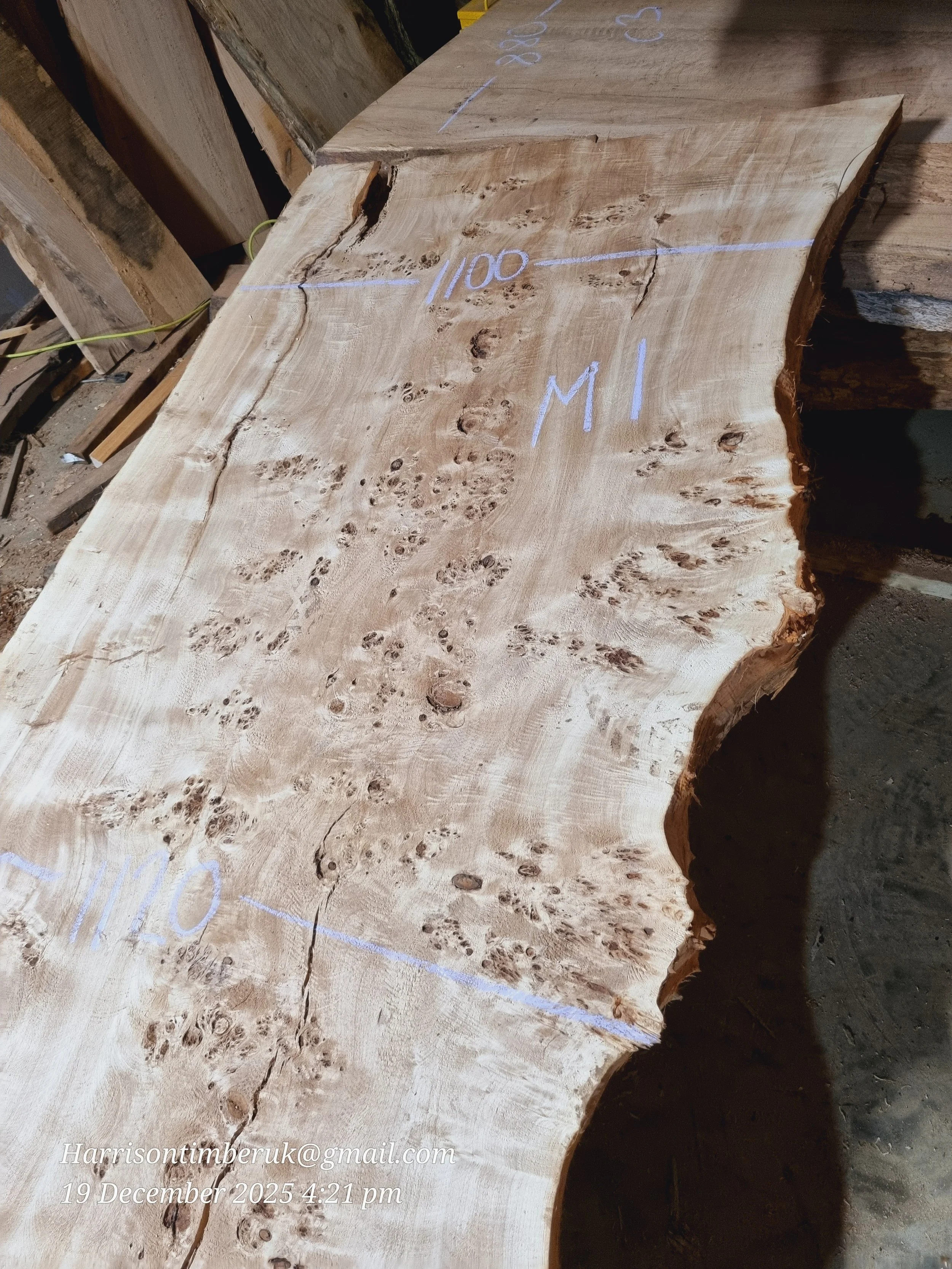 Mappa Burl Slab (1).jpg