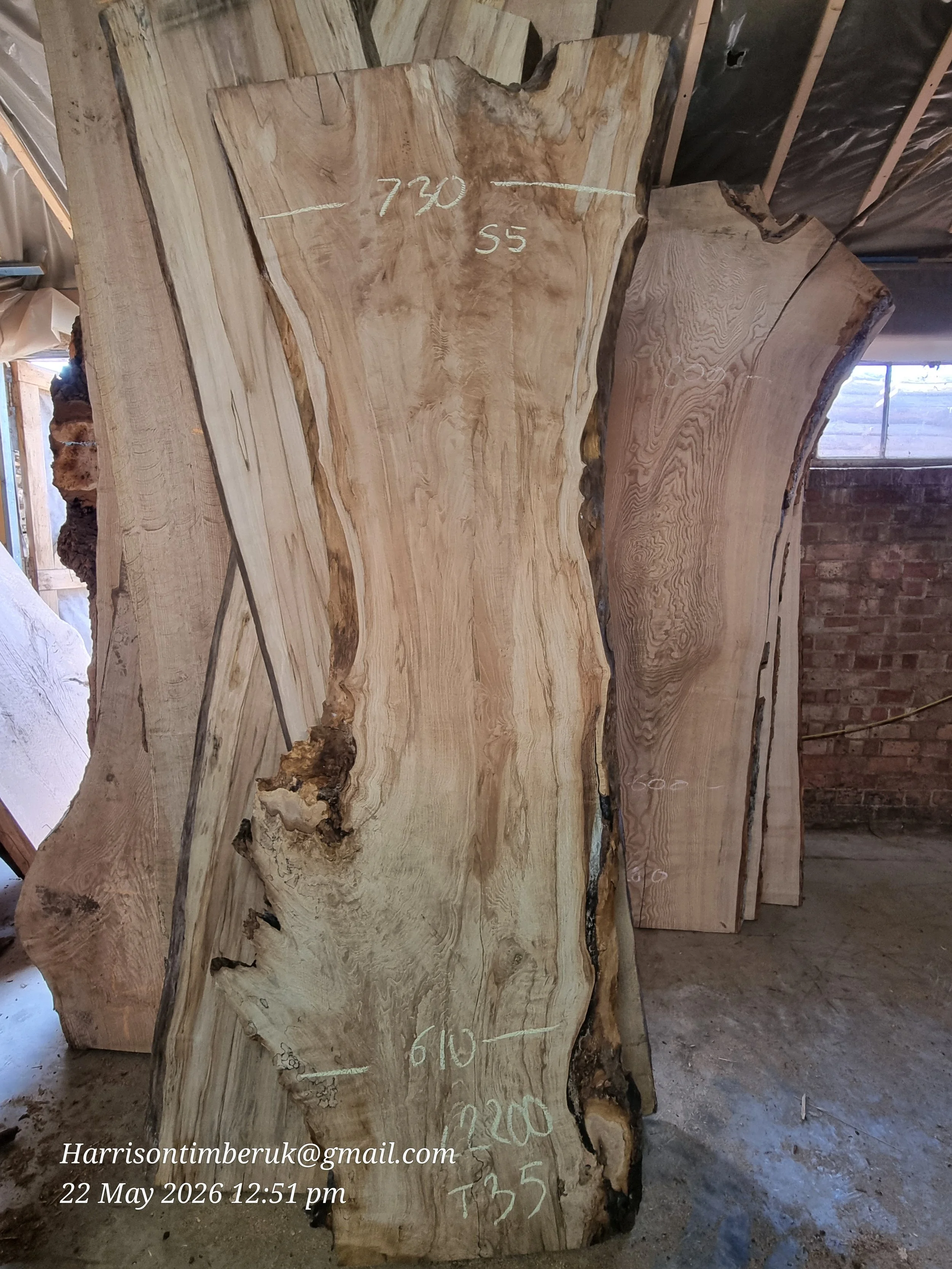 Highly Figured Horse Chestnut Boards
