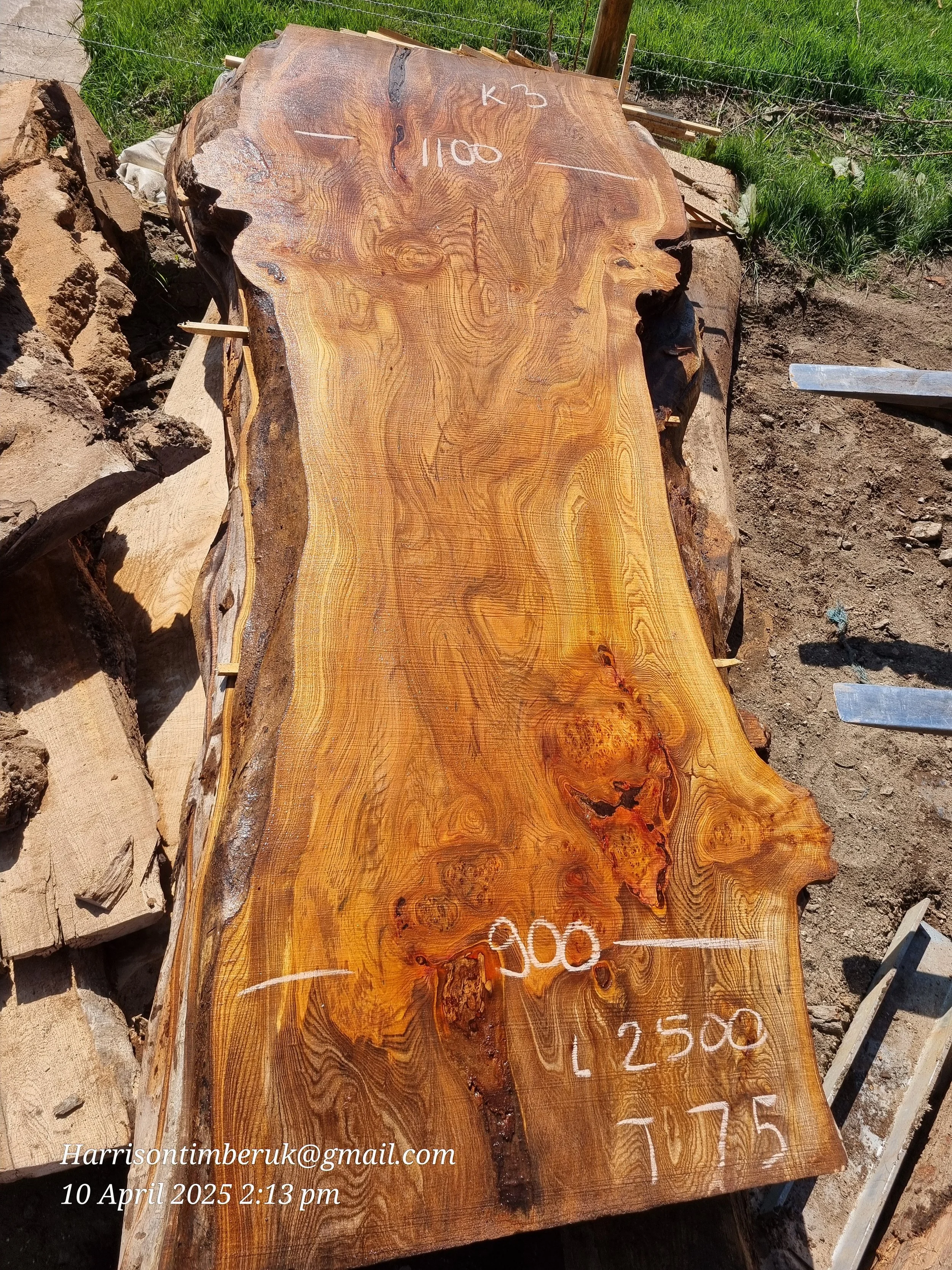 Large Elm Slabs (3).jpg