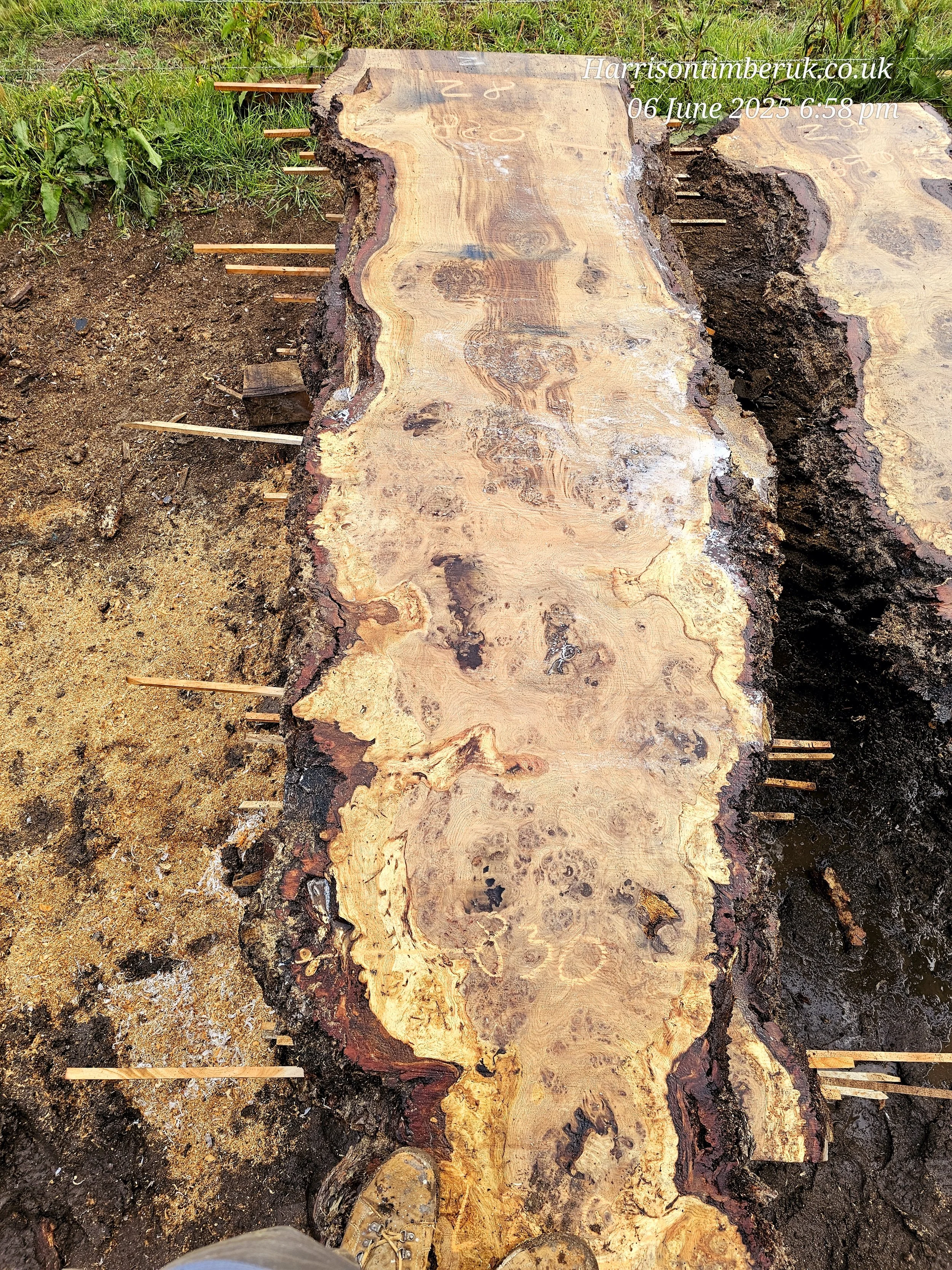 Pippy oak with metal stain (8).jpg