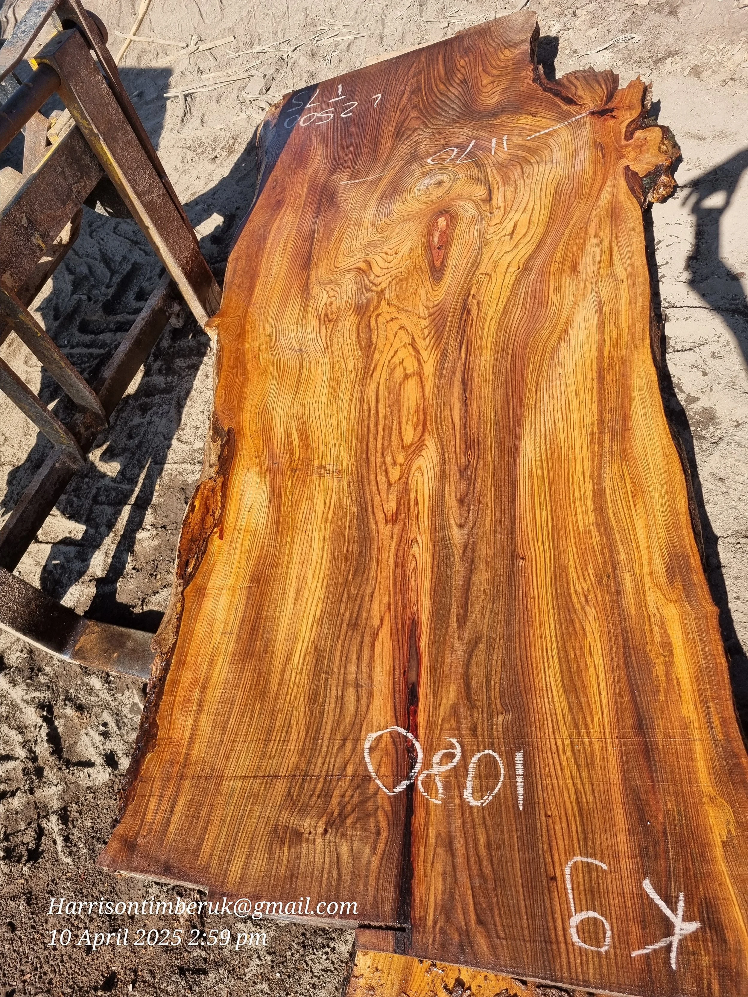 Large Elm Slabs (9).jpg