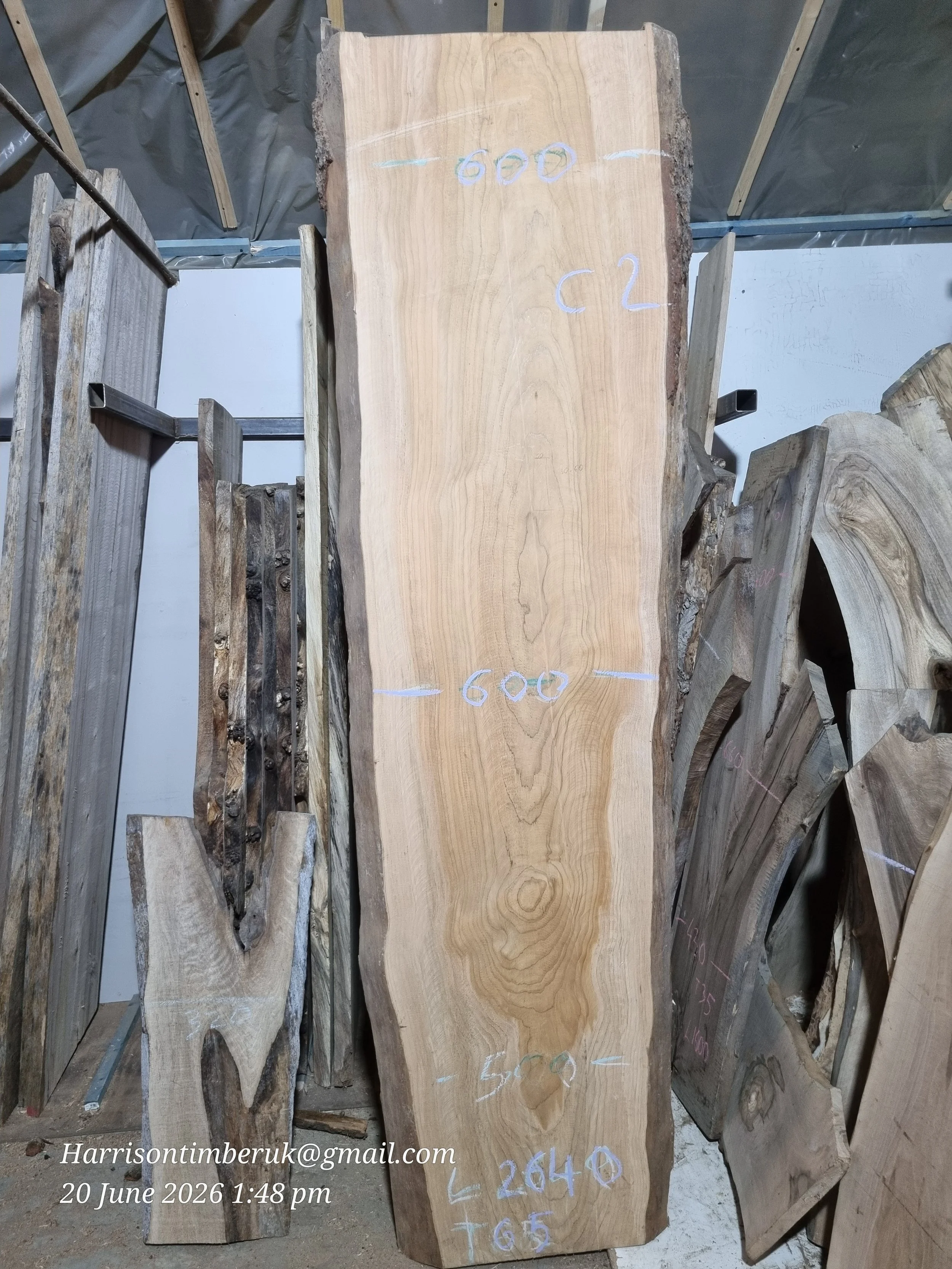 BRITISH CEDAR SLAB.