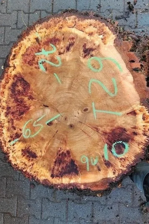 Mappa%2Bburl%2Bcookie%2BT%2B29.jpg