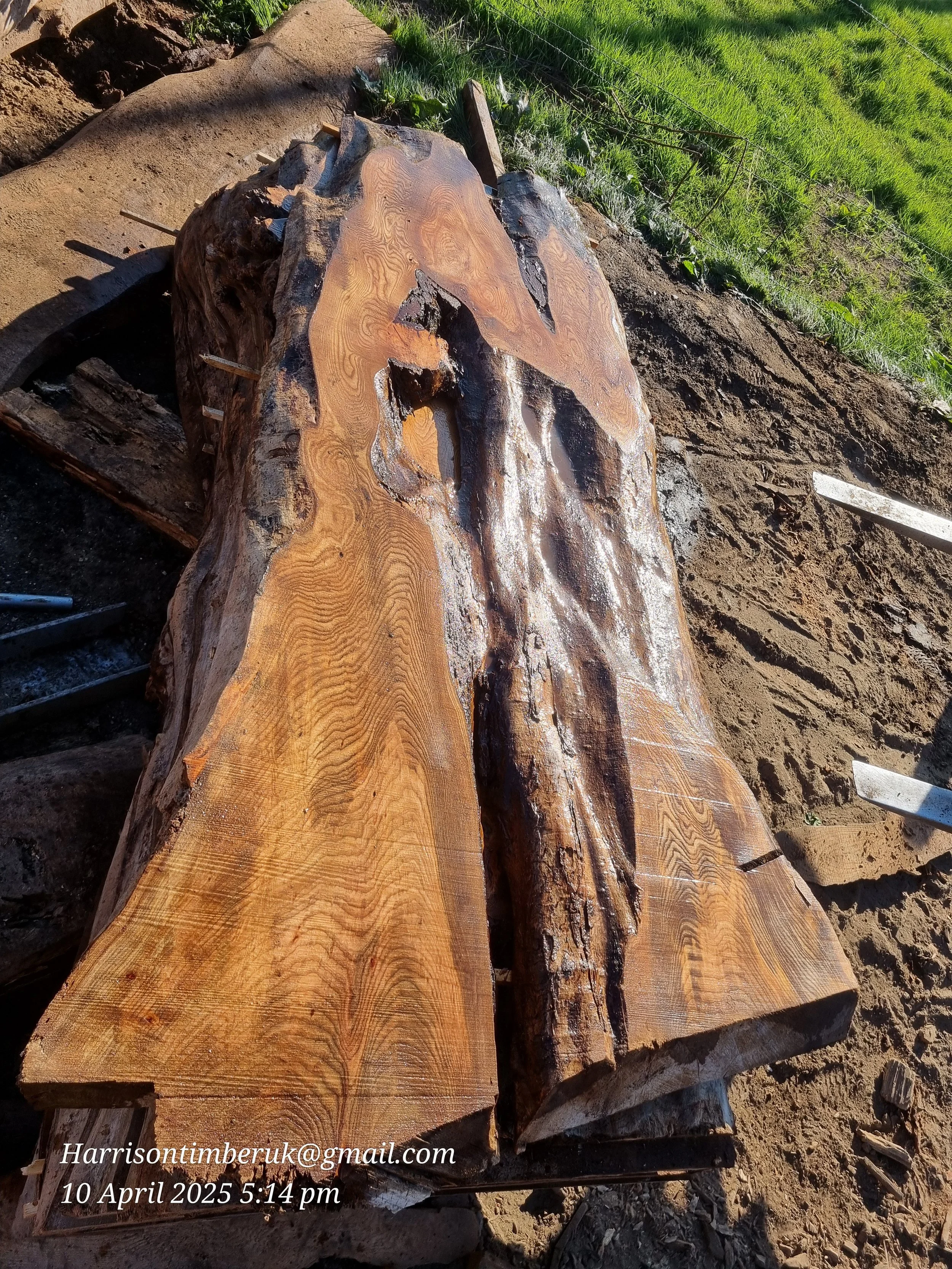 Large Elm Slabs (12).jpg