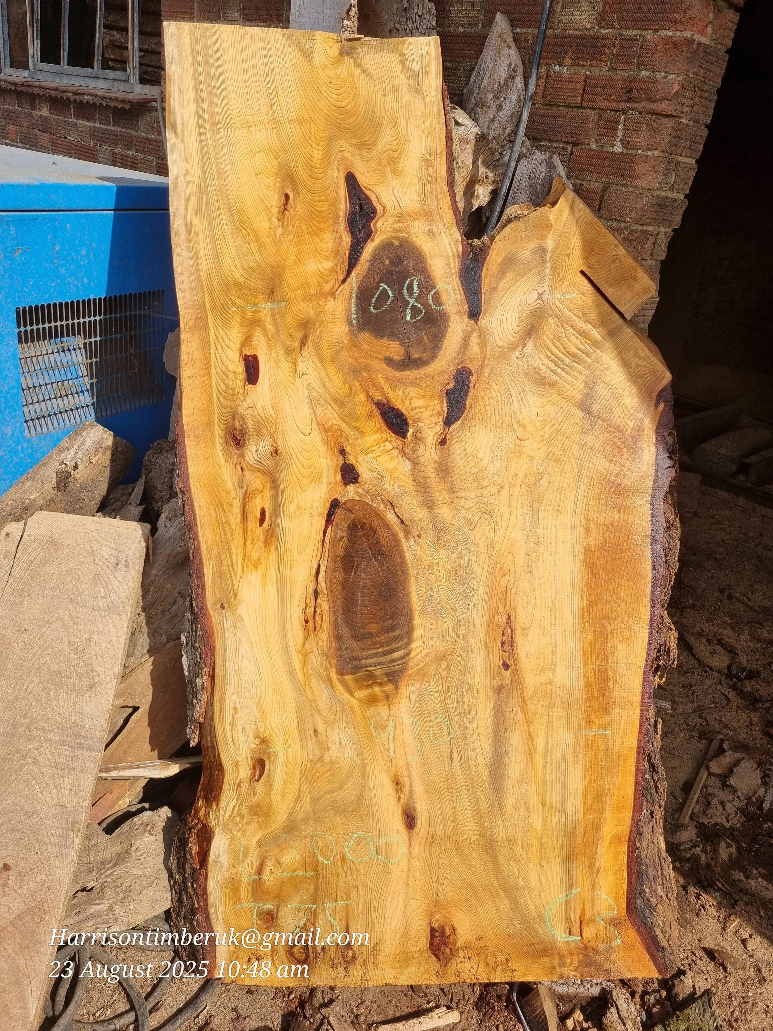 Unusally Looking Cedar Slabs (2).jpg