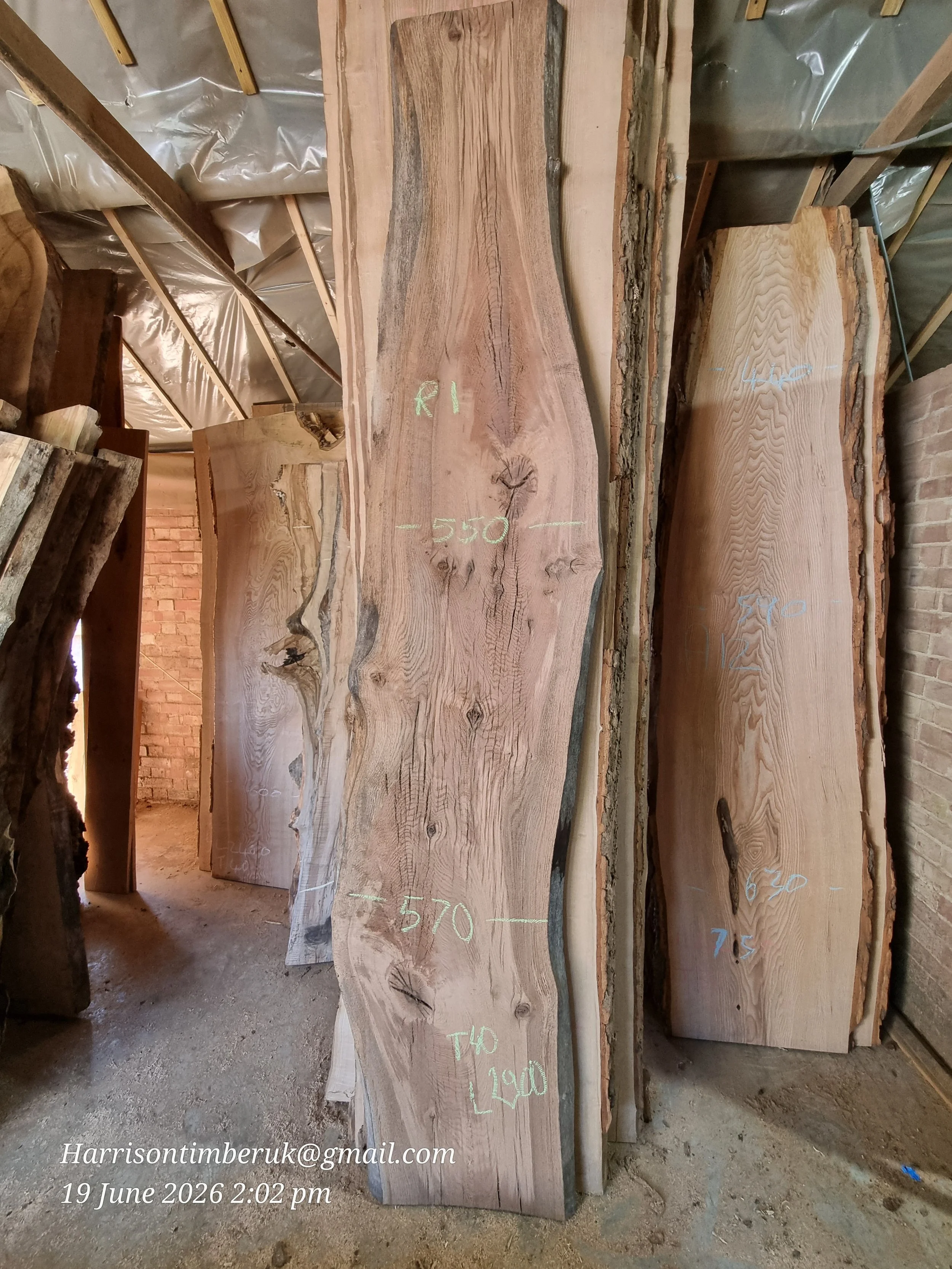 Red Oak Slab