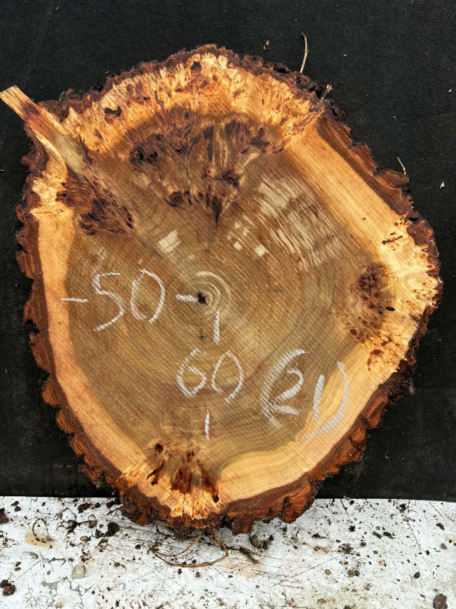Mappa burl cookie (21).jpeg