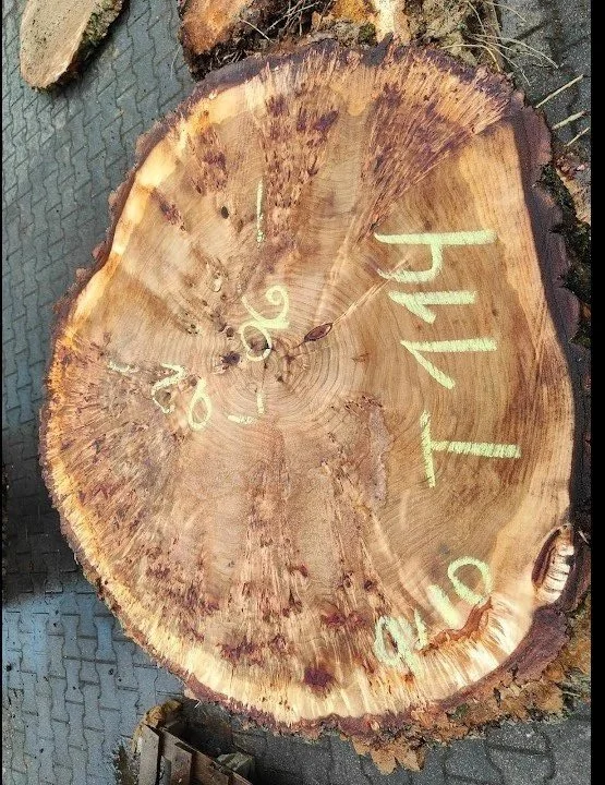 Mappa+burl+cookie+T+114.jpg