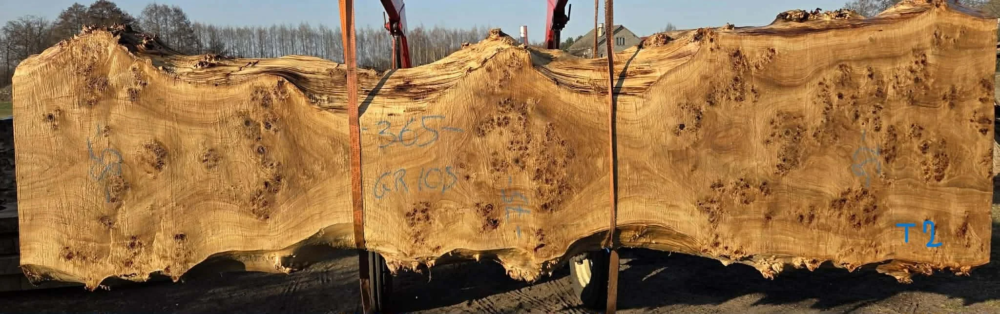 Mappa burl P2.jpeg