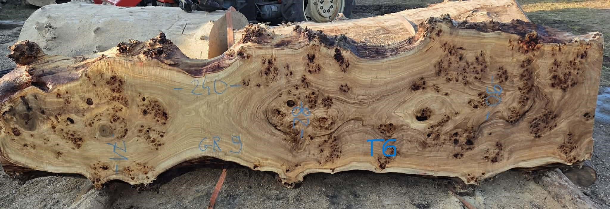 Mappa burl P6.jpeg